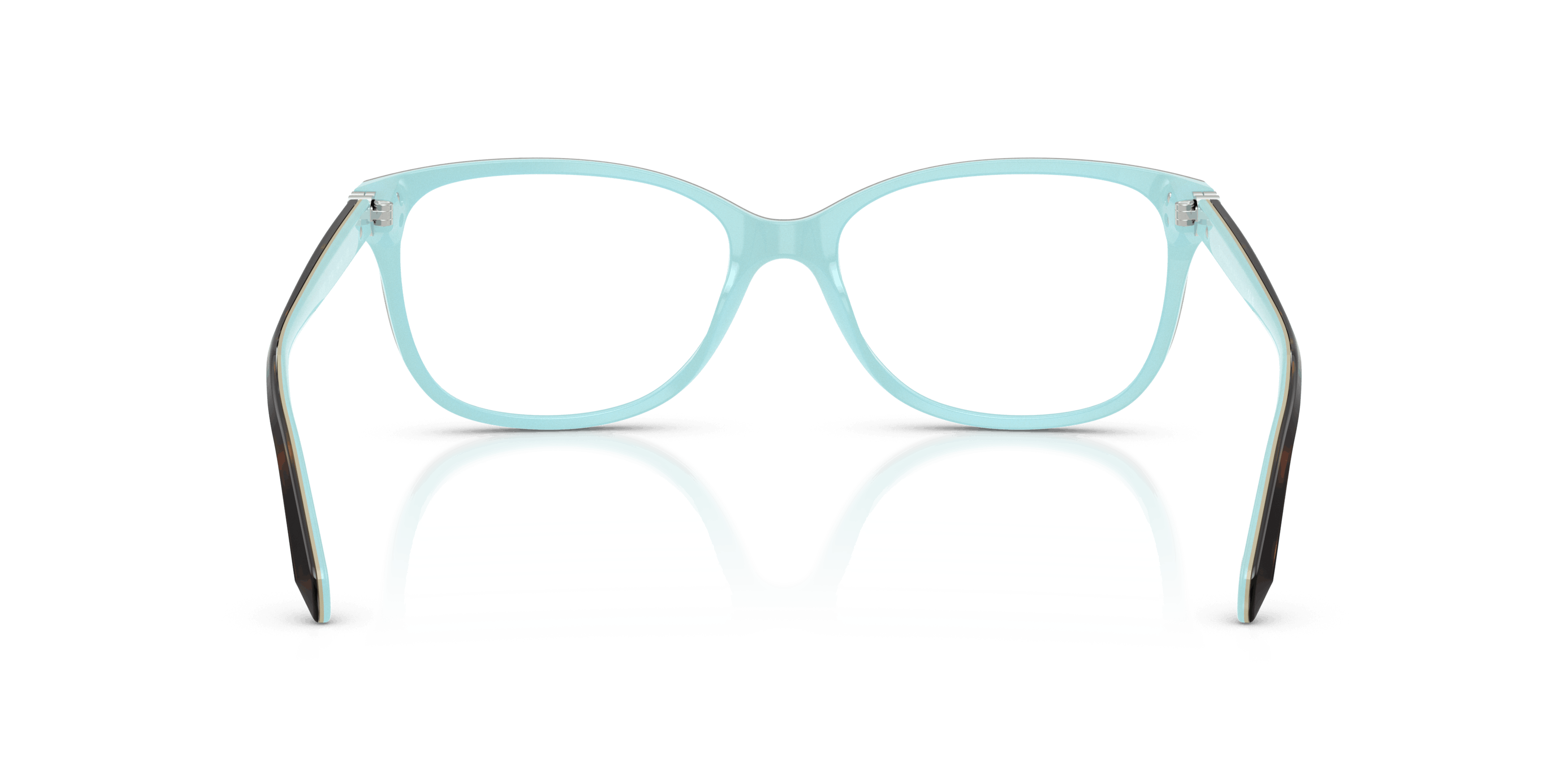 Detail02, Tiffany & Co TF 2097 Glasses