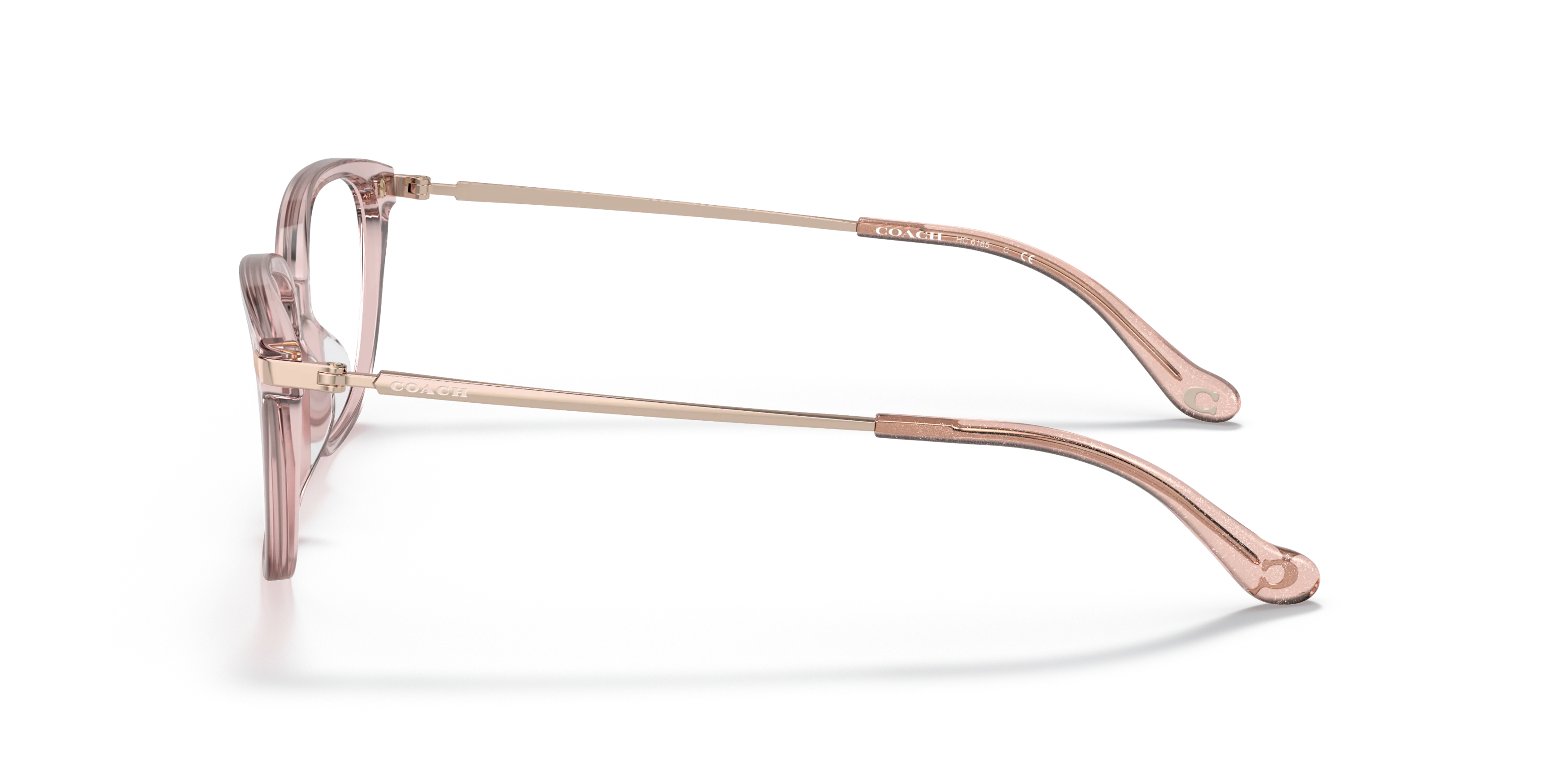 Angle_Left02, COACH HC6185 5668