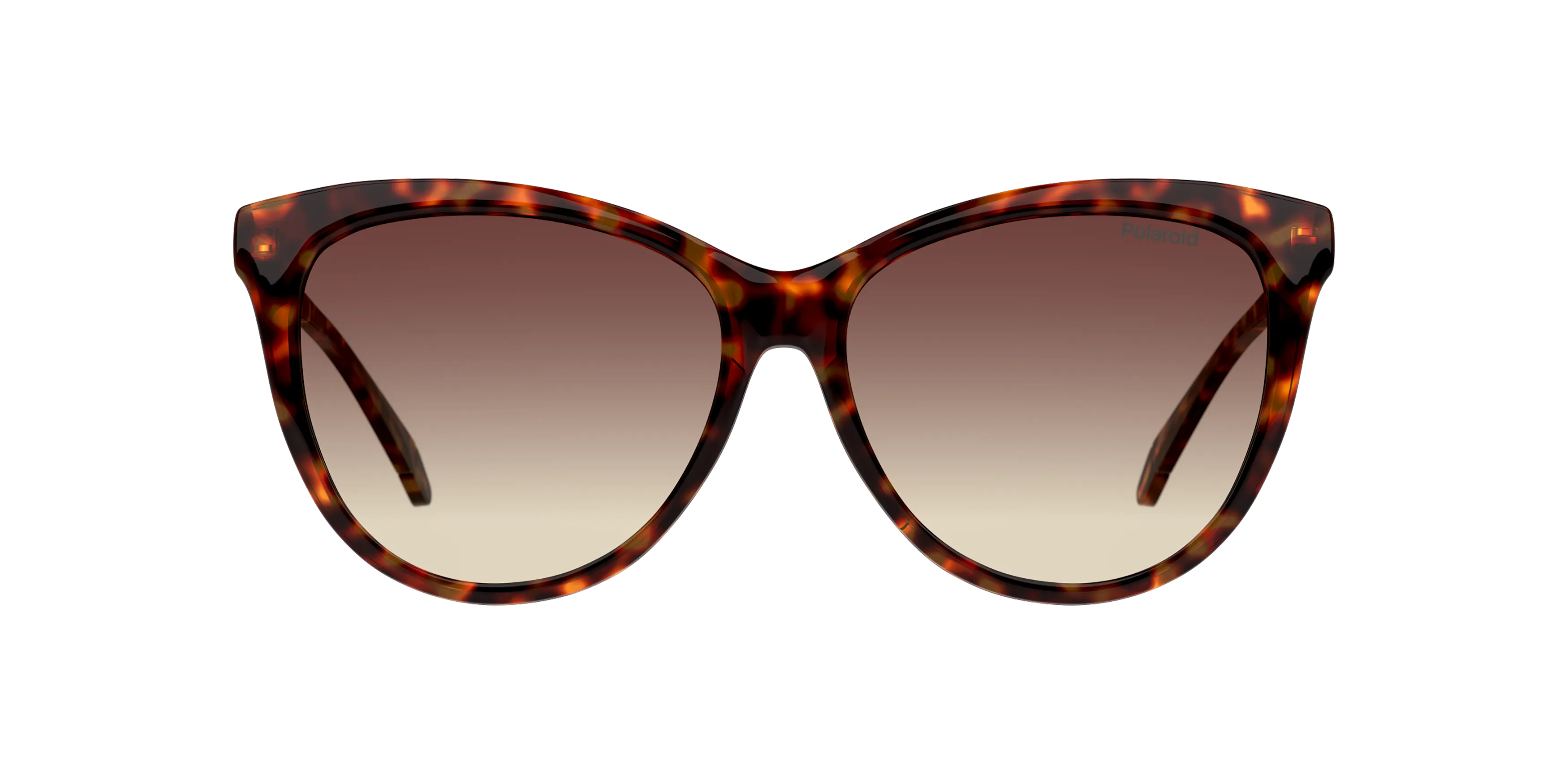 Front, Polaroid P4000483 86