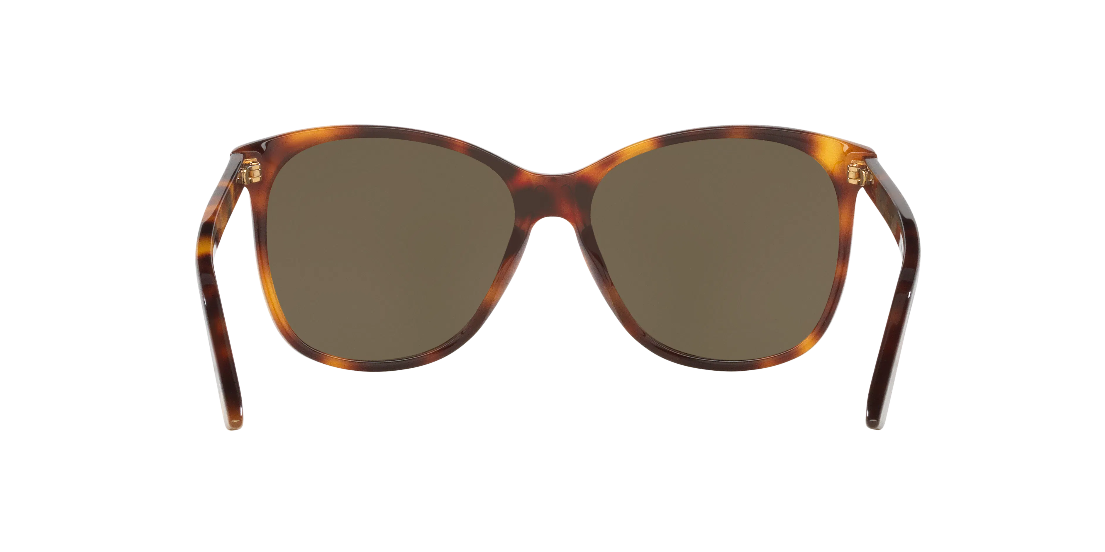 Detail02, Gucci GG 0024S Sunglasses