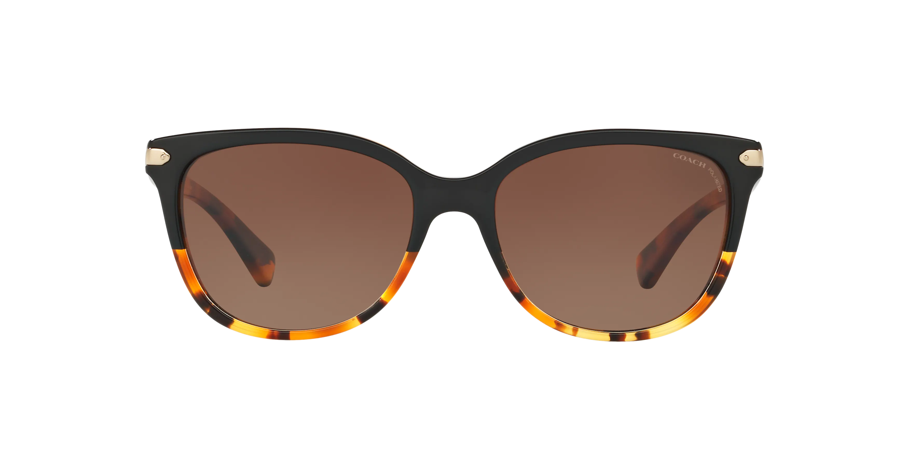 Front, Coach HC8132 5438T5