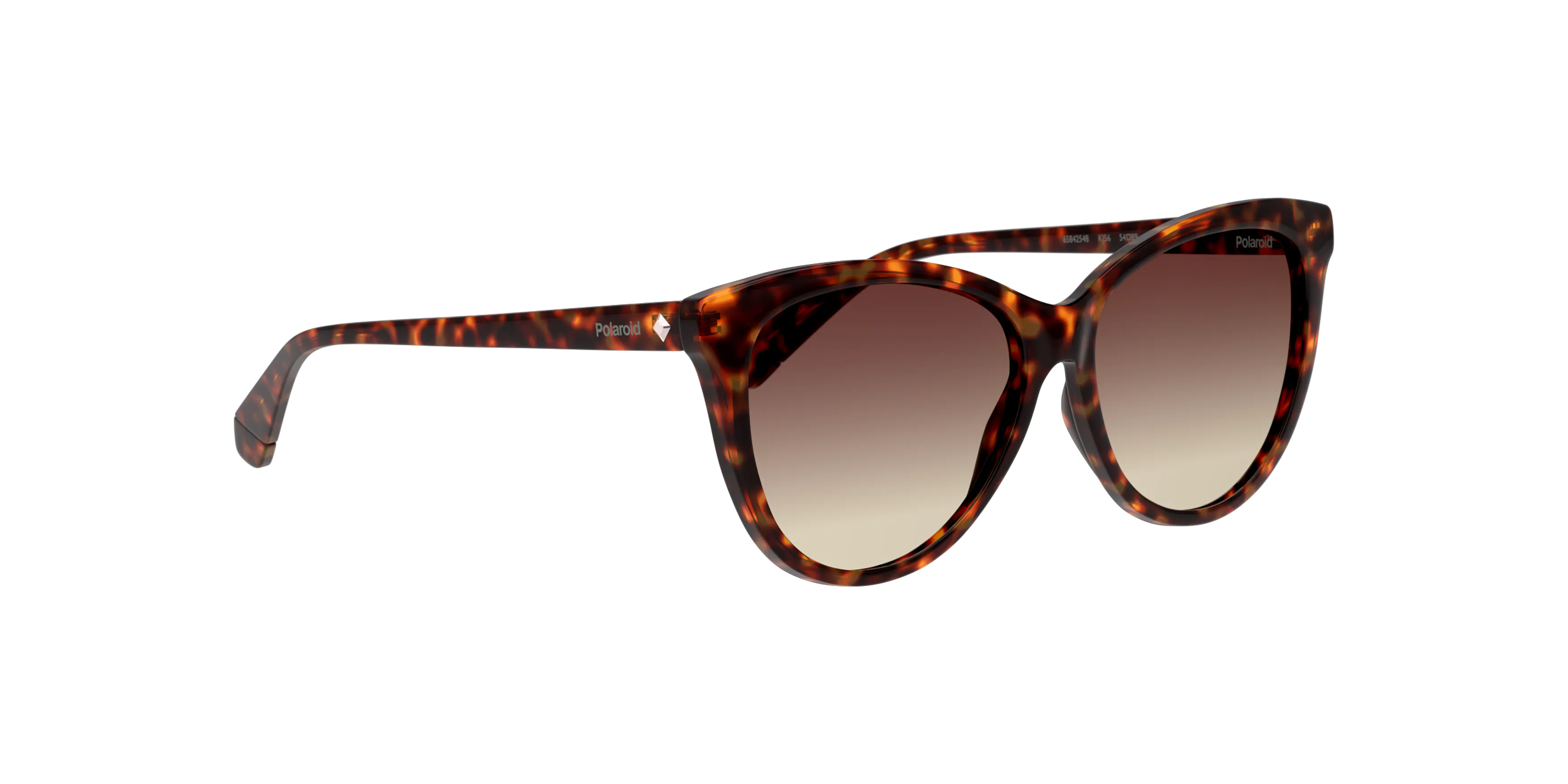 Angle_Right01, Polaroid P4000483 4402D1