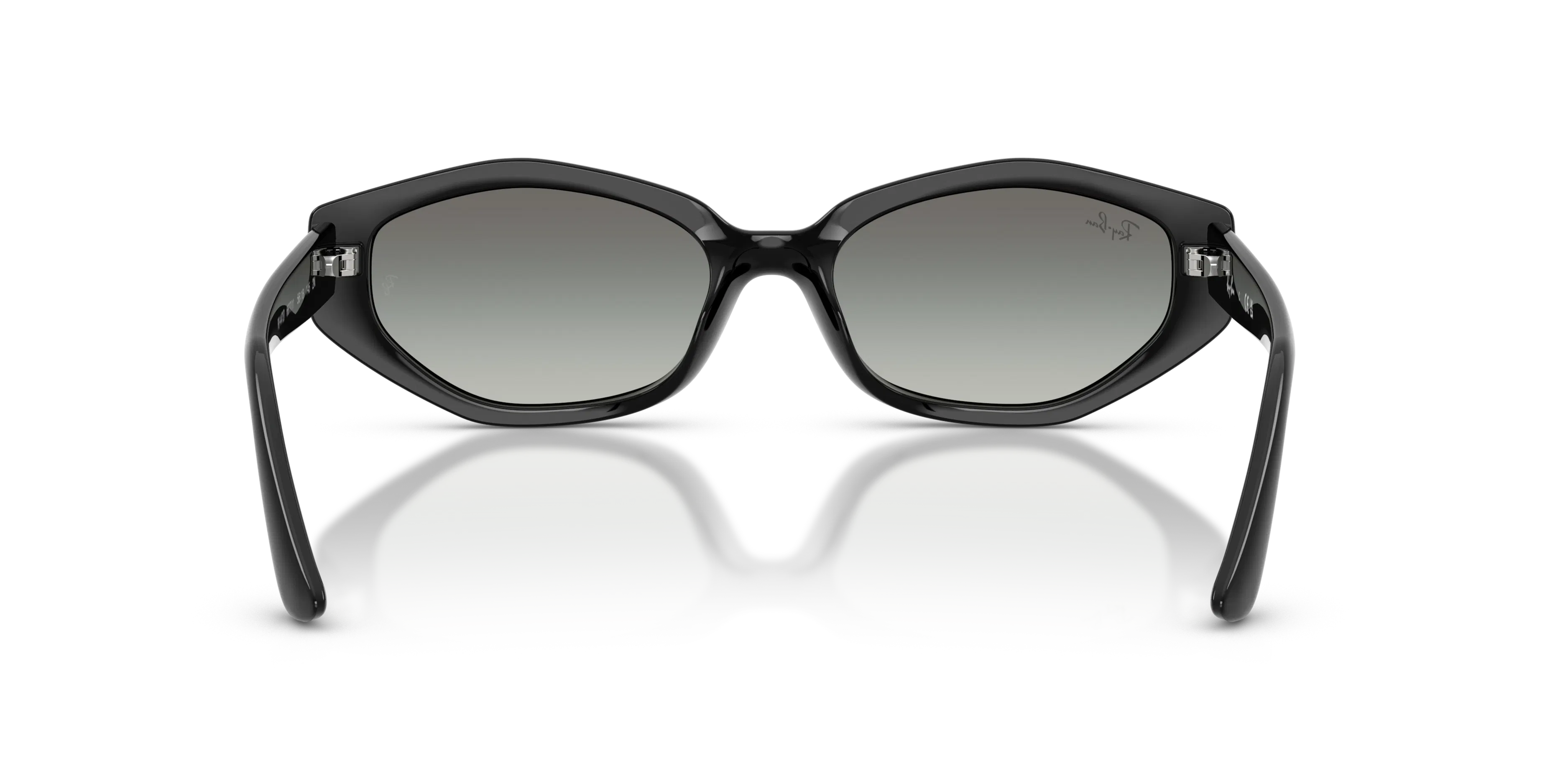 Detail02, Ray-Ban RB4473D 667711