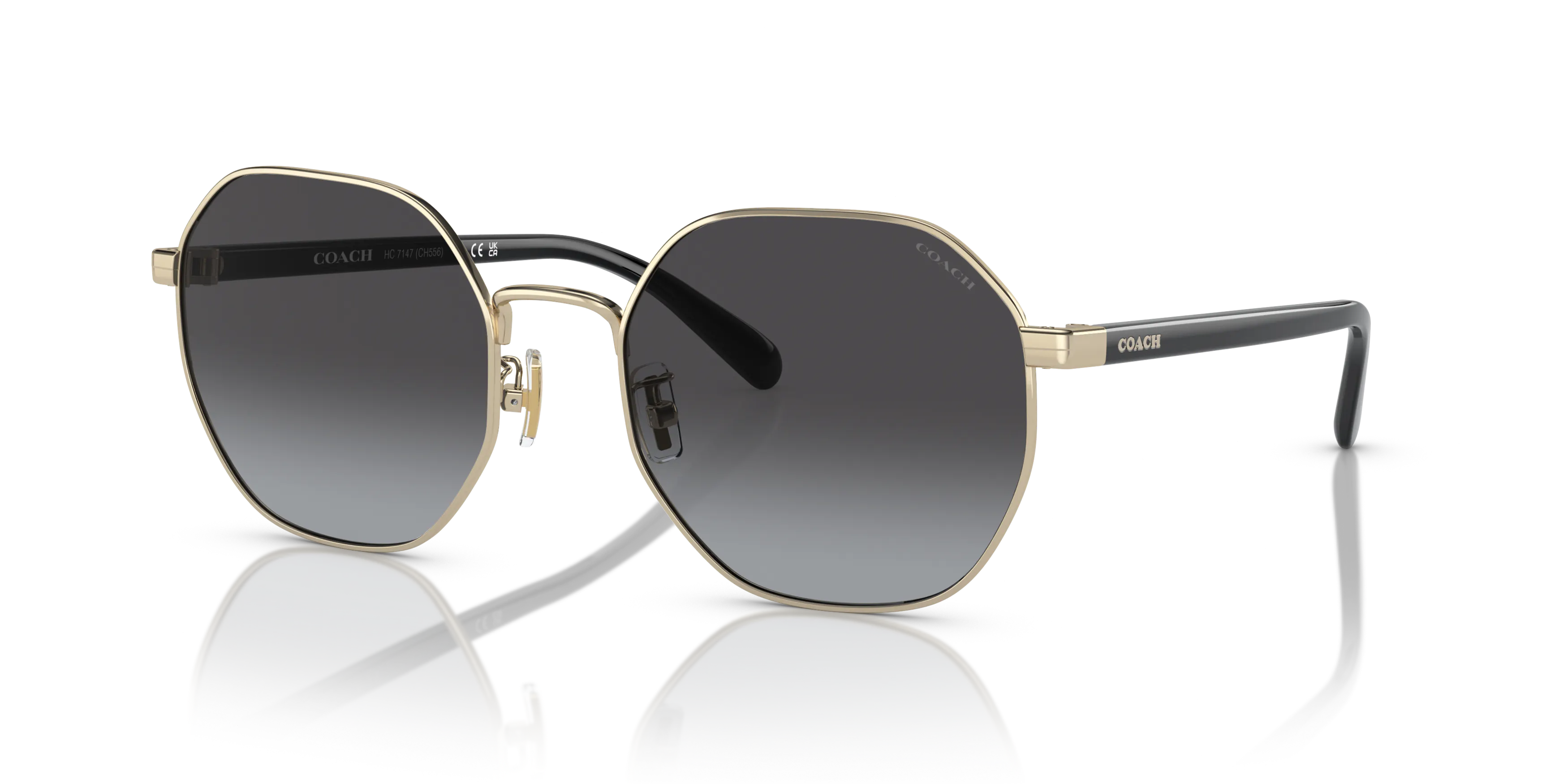 Angle_Left01, Coach HC7147 90058G