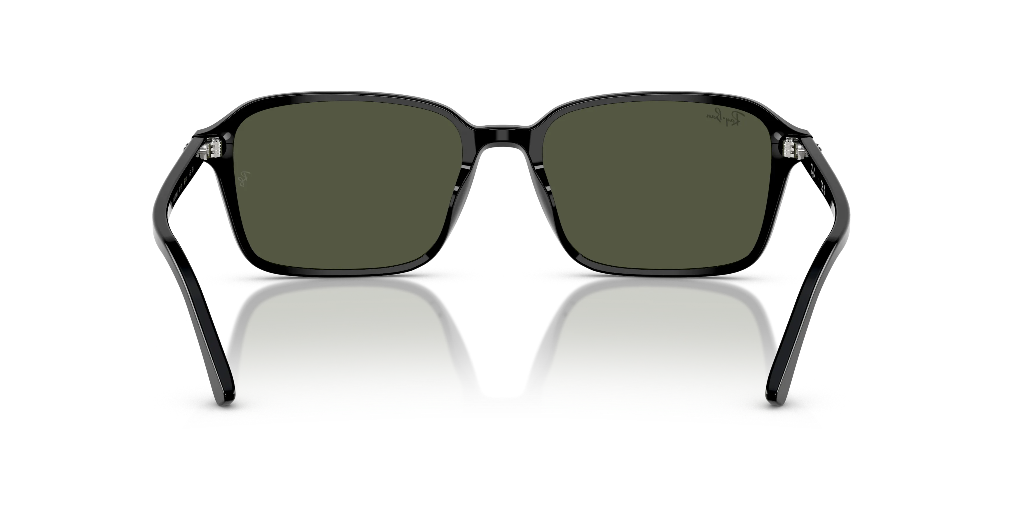 Detail02, Ray-Ban Raimond RB2231 Sunglasses