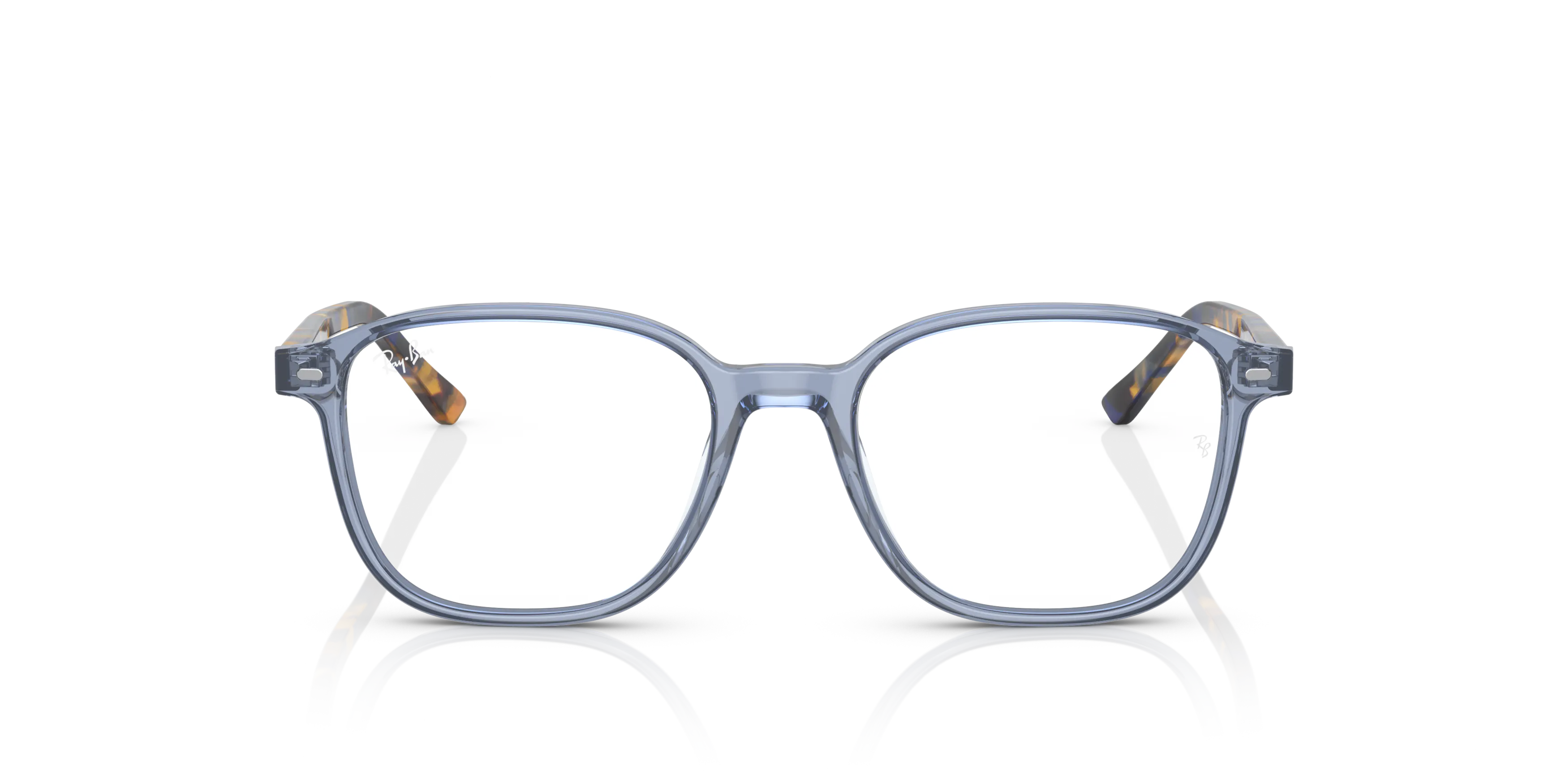 RAY-BAN Leonard Optics RX5393 8228