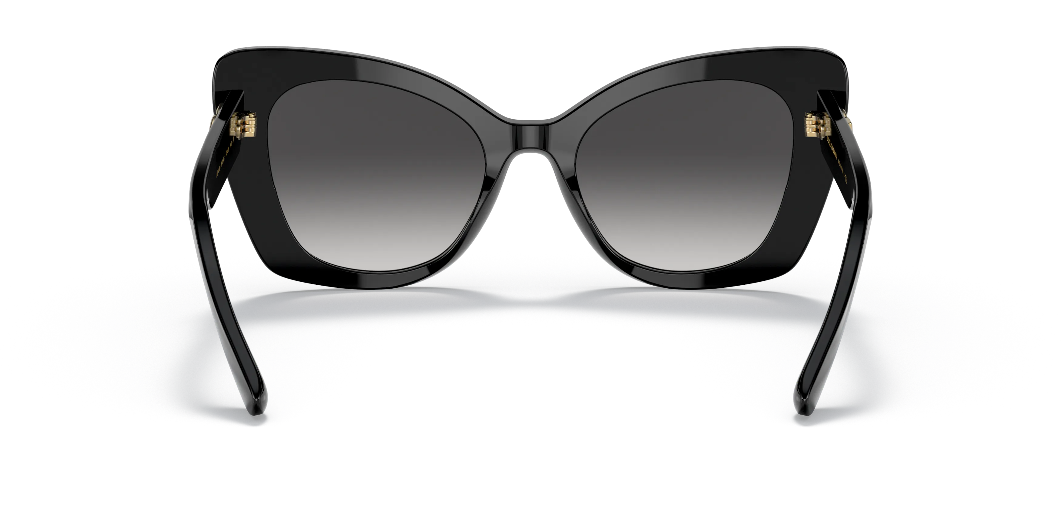 Detail02, Dolce&Gabbana DG4405 501/8G