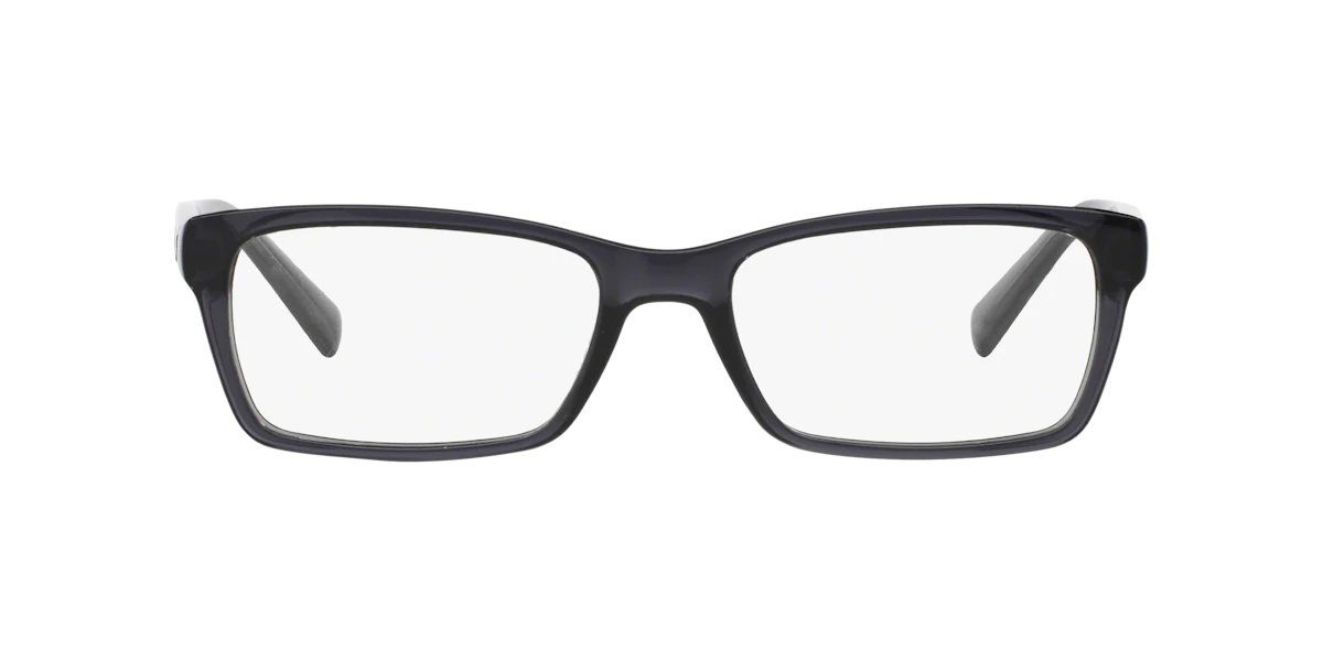 Armani Exchange AX3007 8005