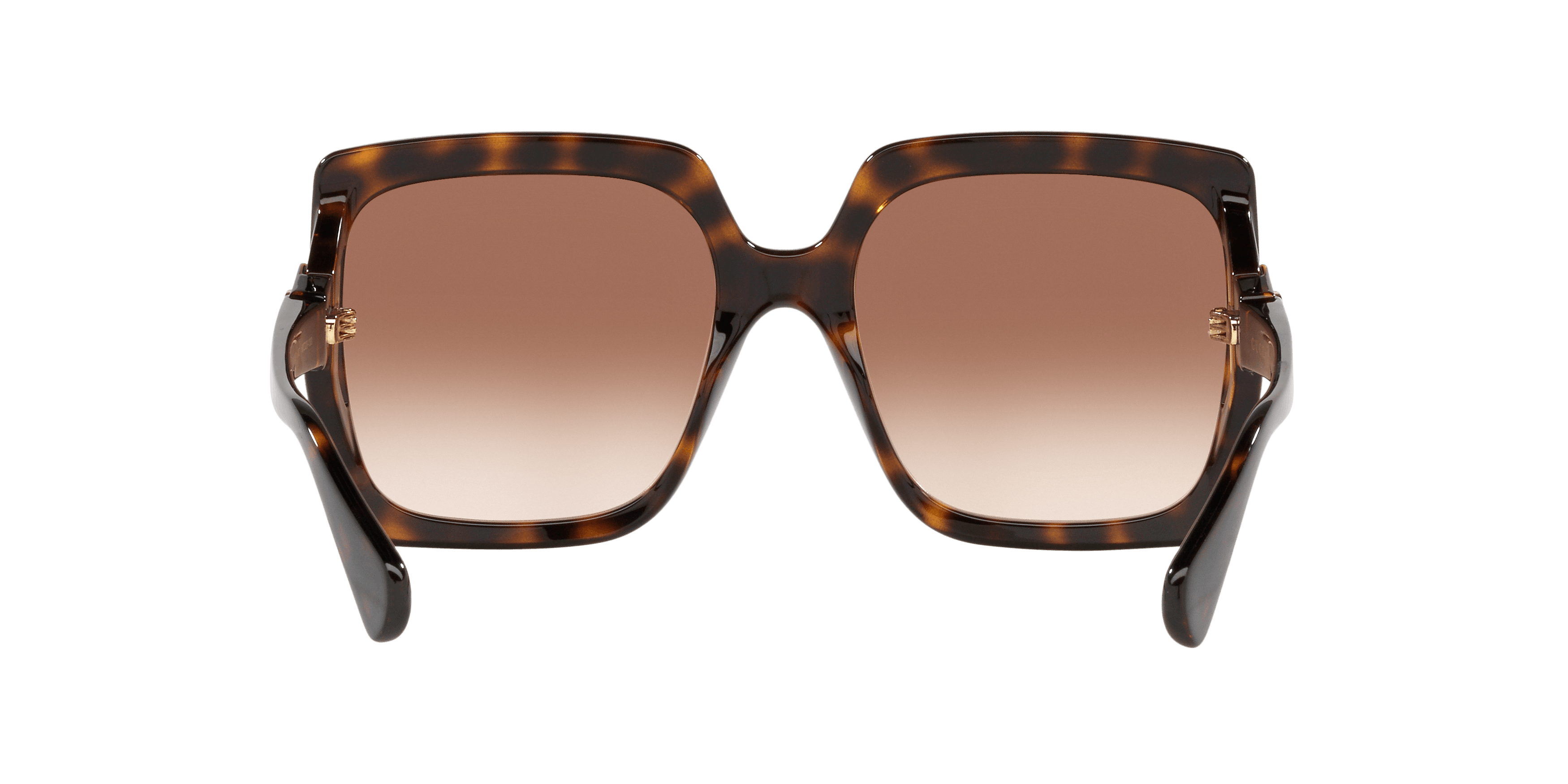 Detail02, Gucci GG0876S GC001504 4402D1
