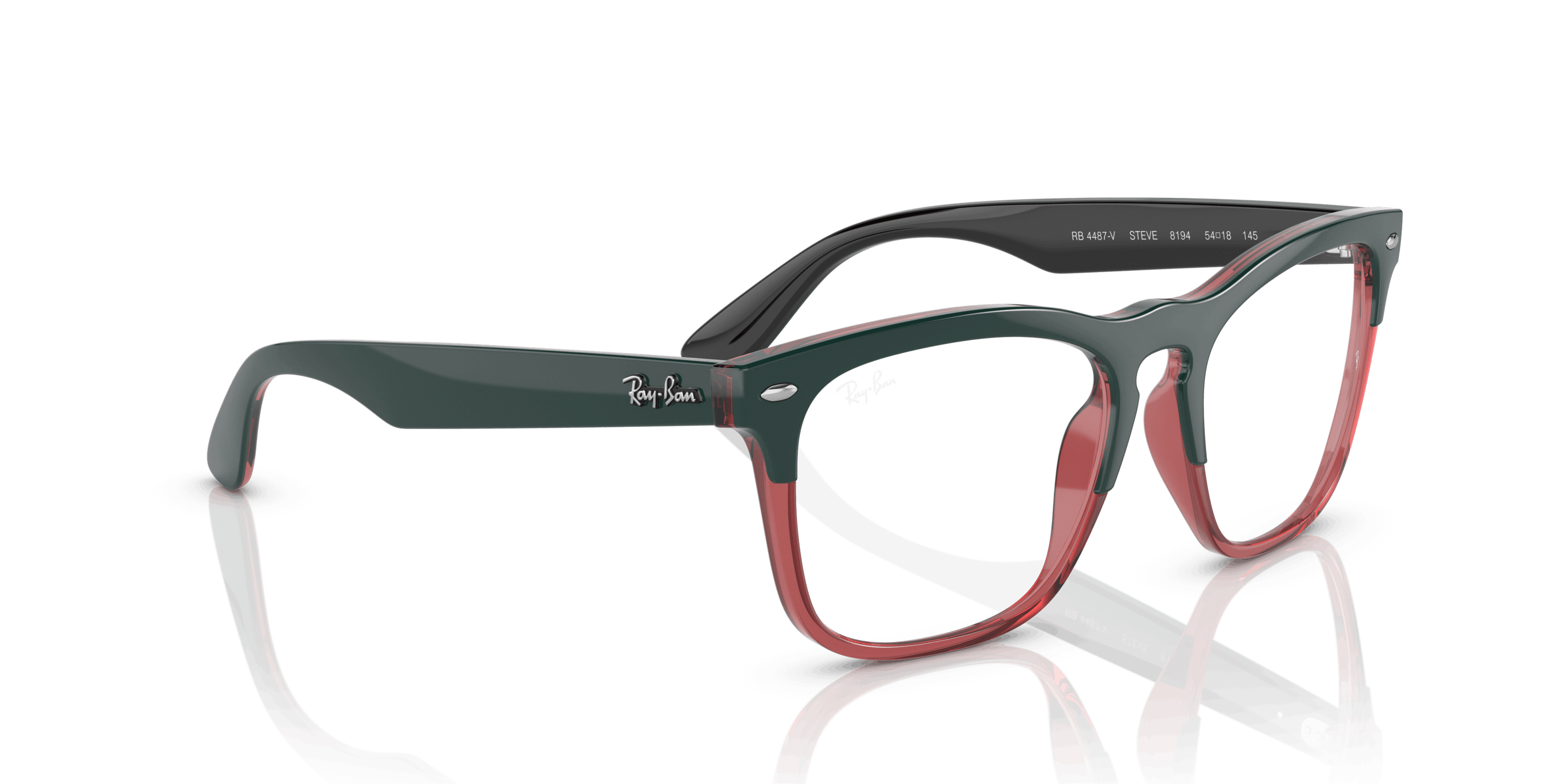 Detail05, Ray-Ban STEVE RB4487V 8194