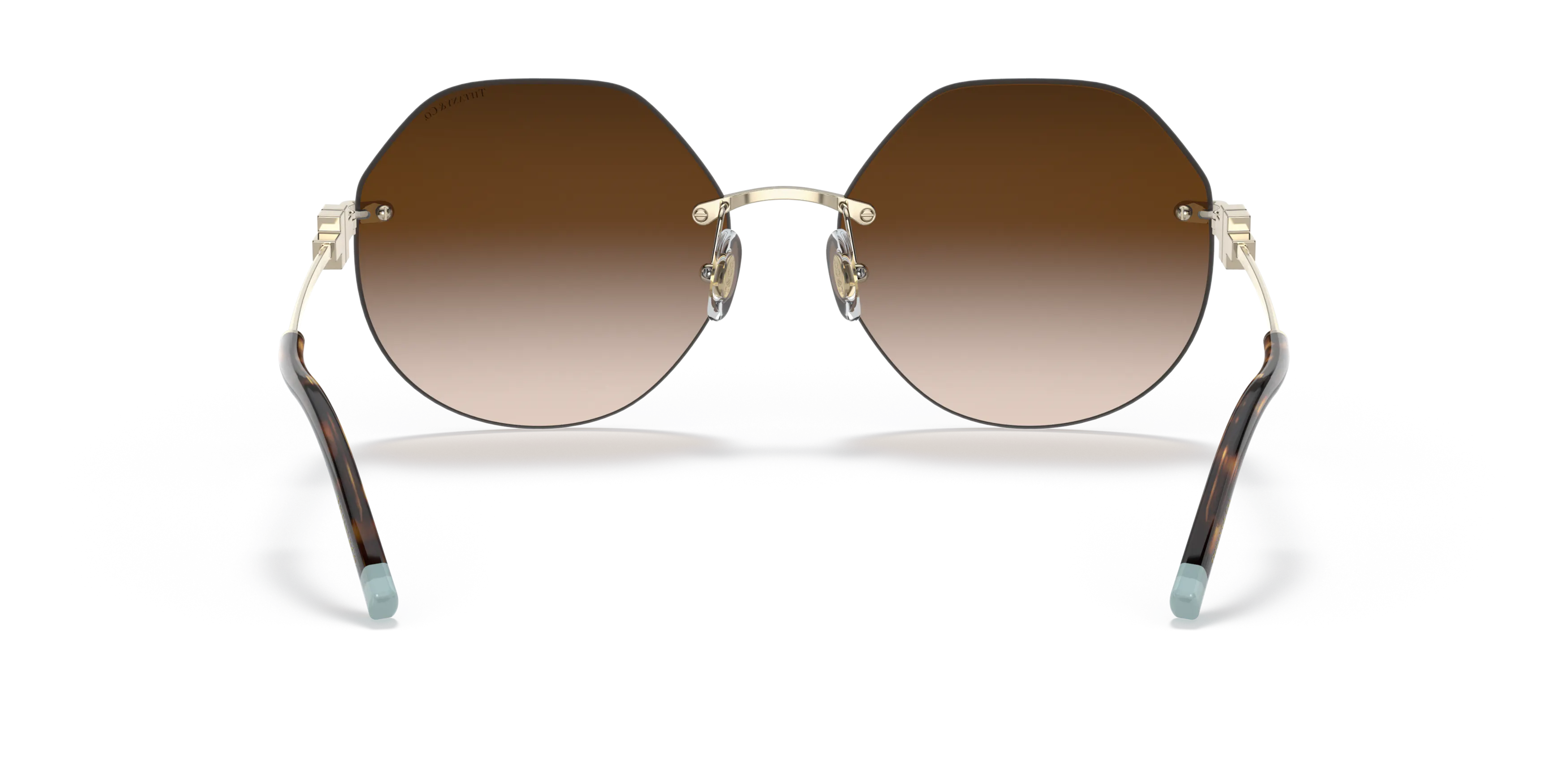 Detail02, Tiffany & Co. TF3077 1516