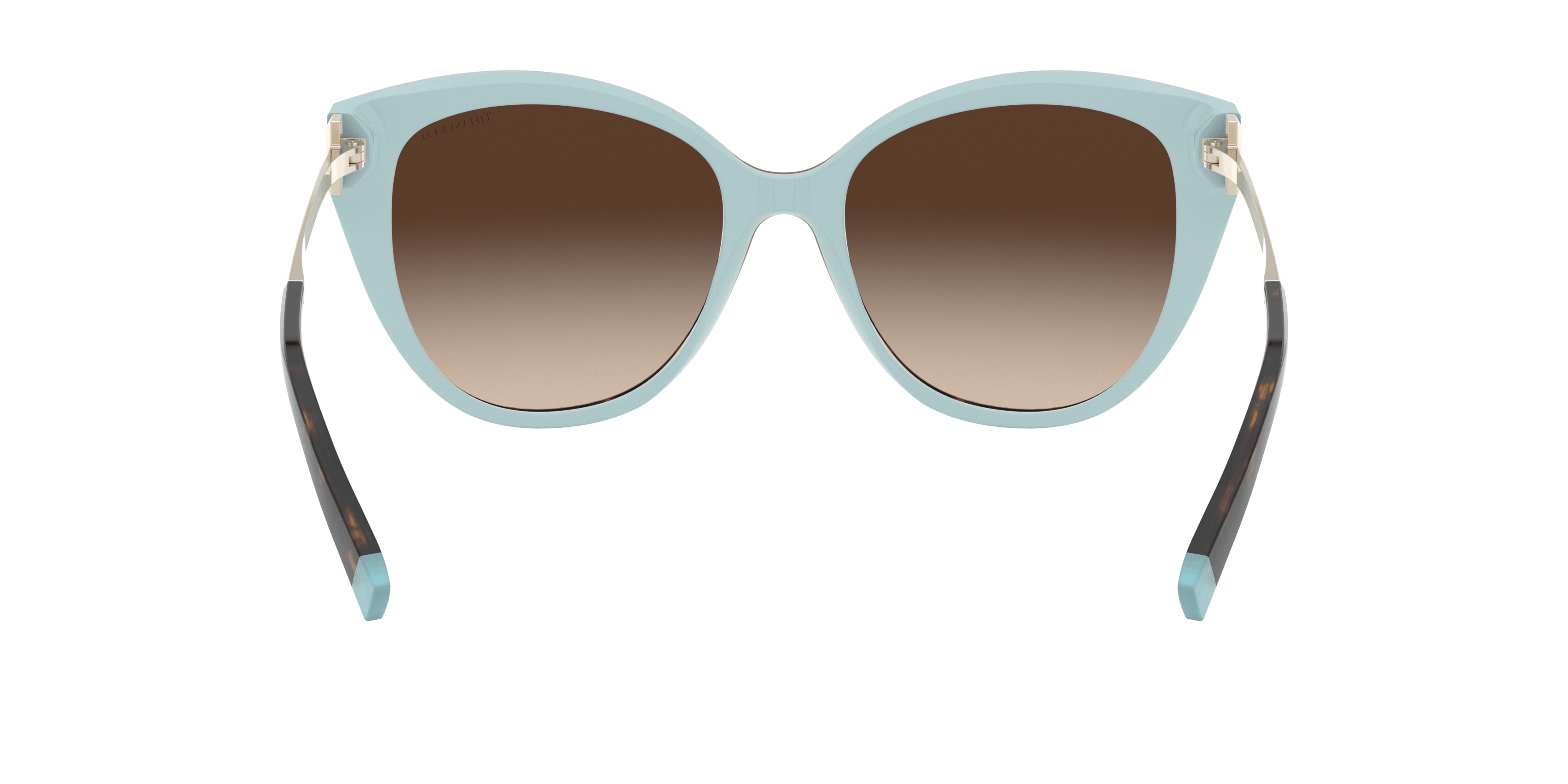 Detail02, Tiffany & Co. TF4166 81343B