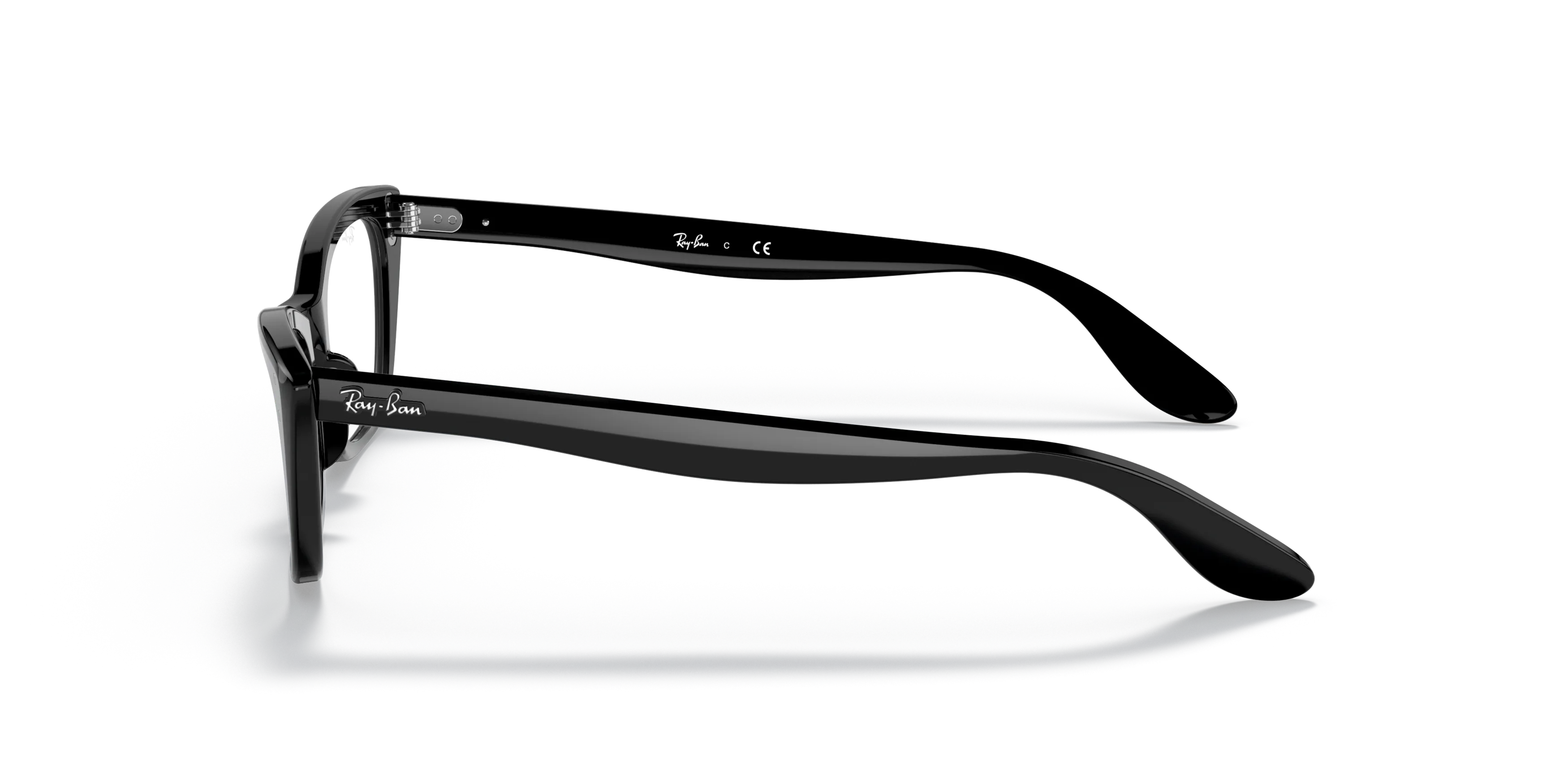 Angle_Left02, Ray-Ban LADY BURBANK RB5499 2000