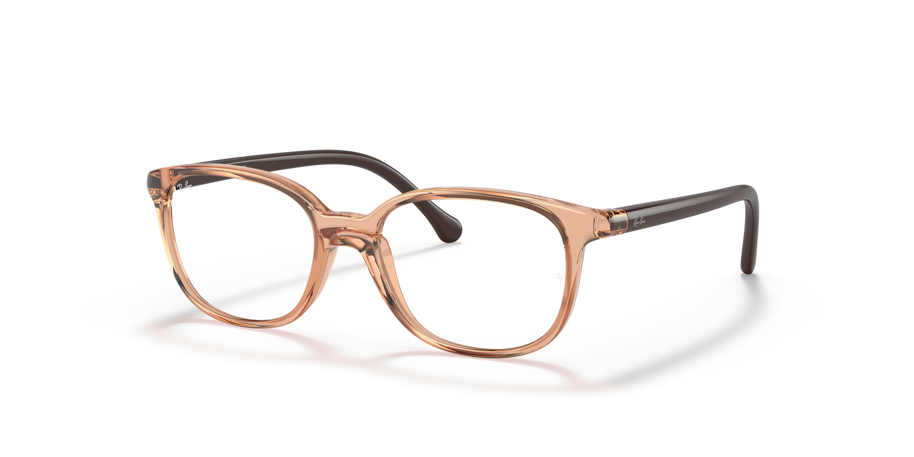 Angle_Left01, Ray-Ban RB1900 3899