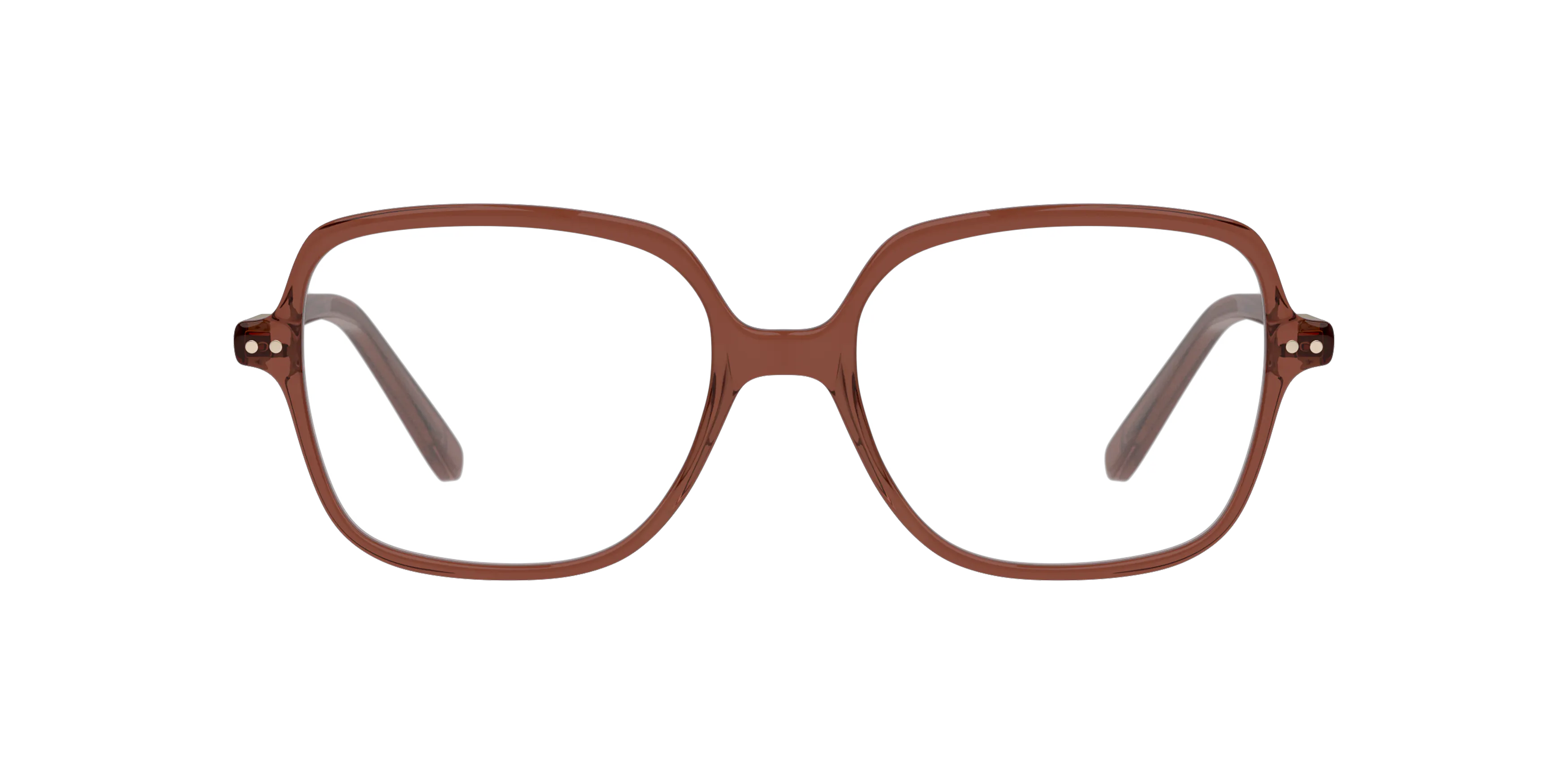 Front, PAUL & JOE RUBY02 BRRS