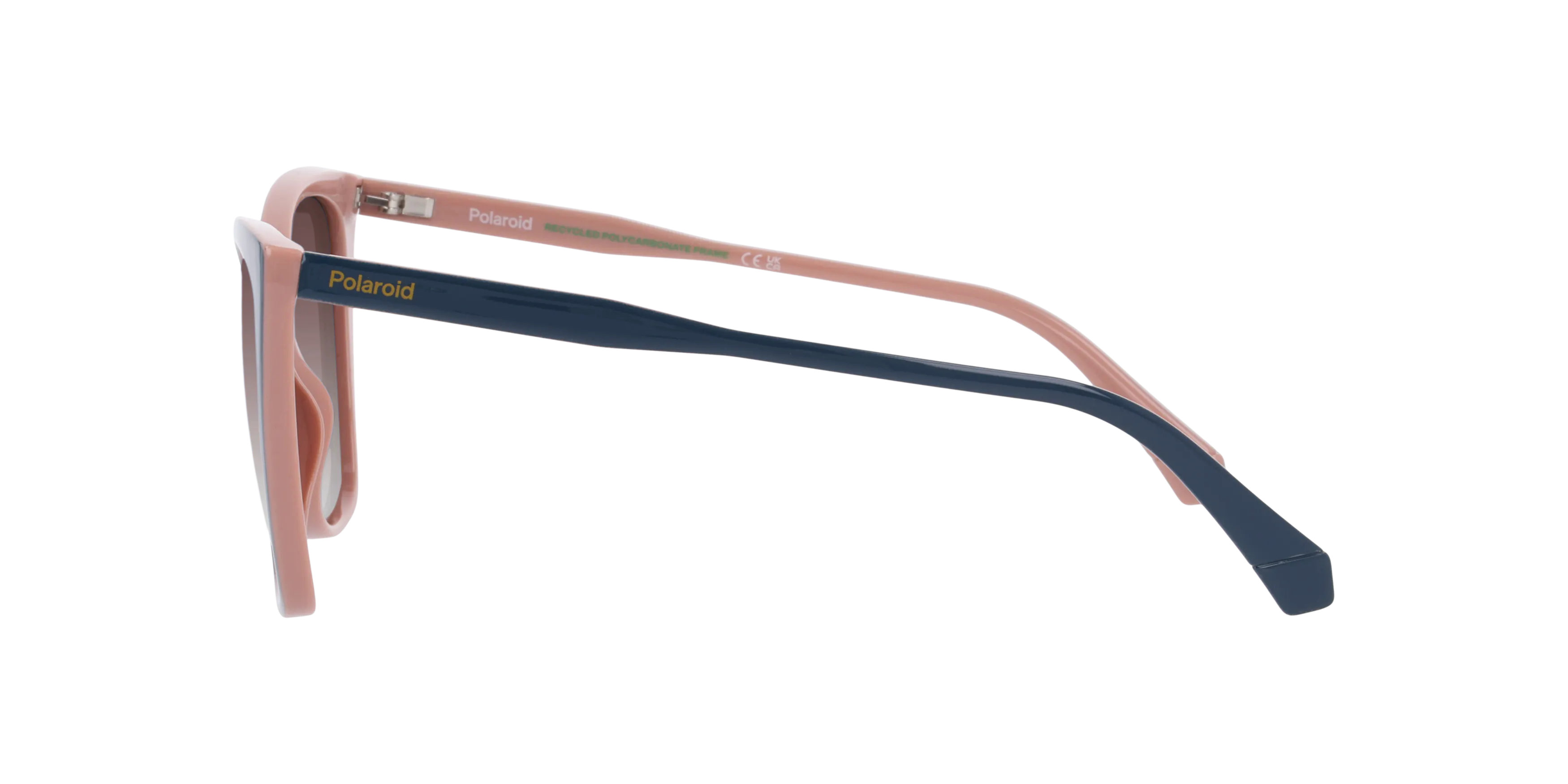 Angle_Left02, Polaroid PLD 4181/S P4000770 1000D5