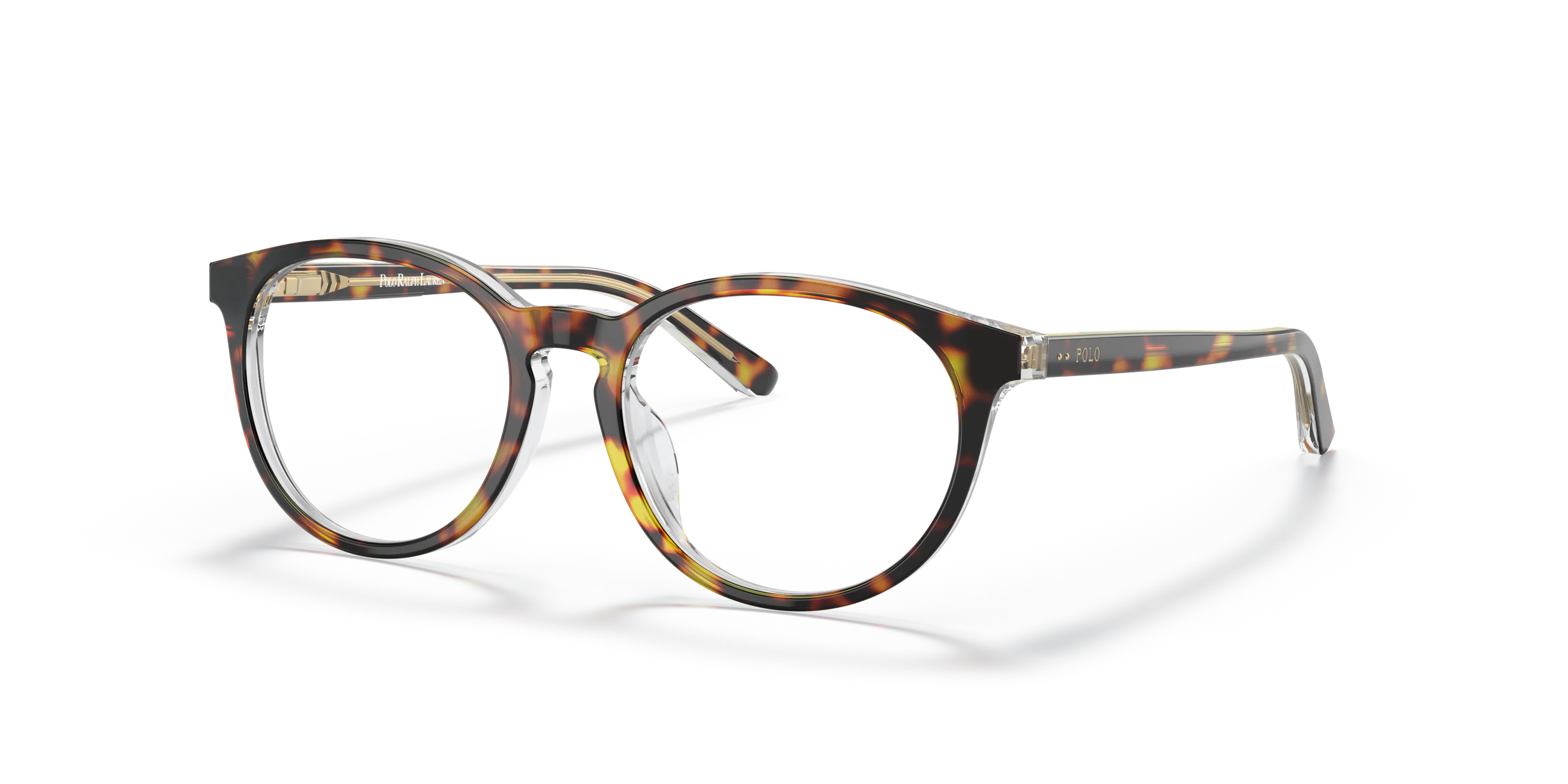 Angle_Left01, PoloPrep 0PP8544U 5225 Glasögonbåge