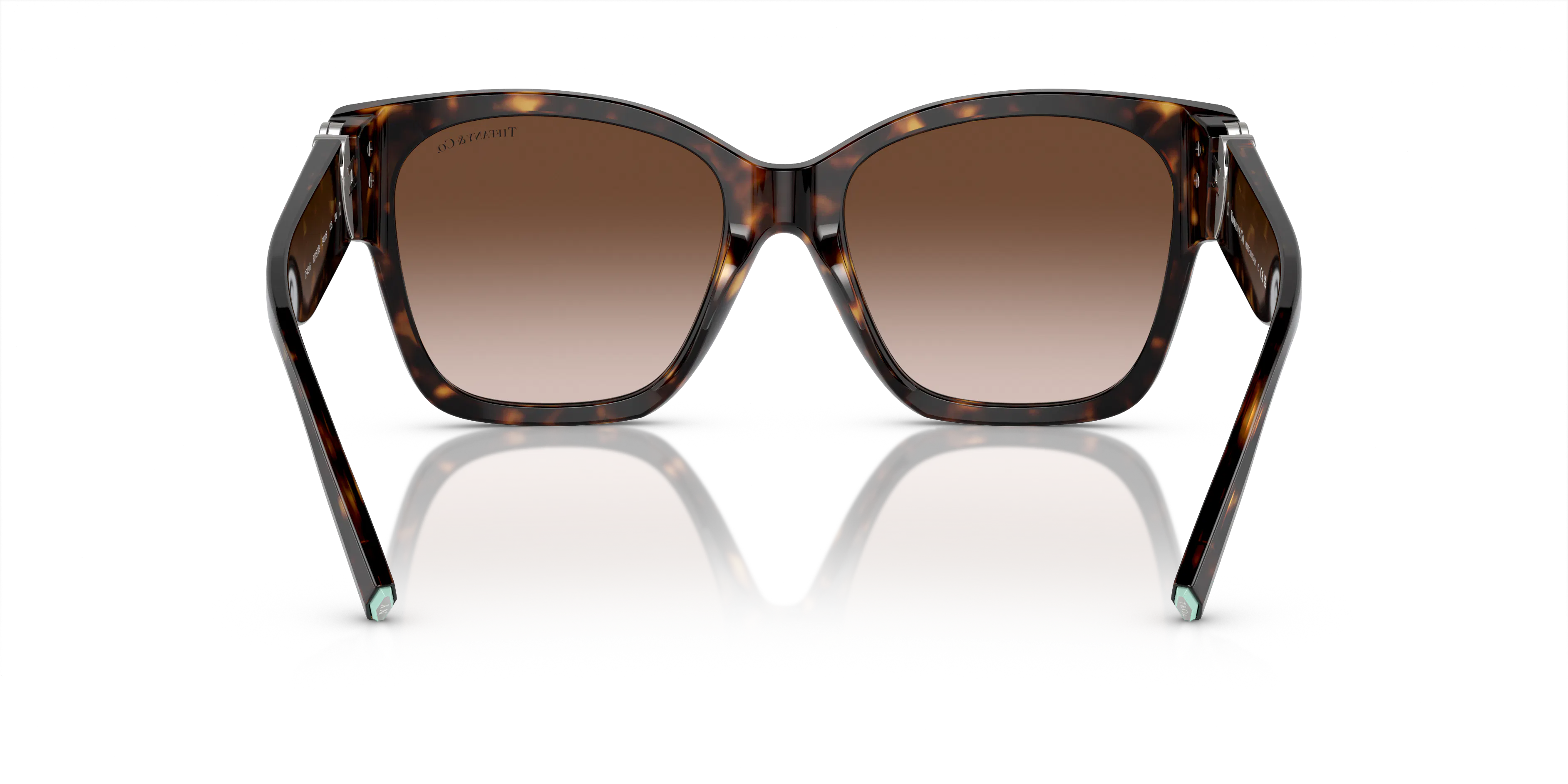 Detail02, Tiffany & Co TF 4216 Sunglasses