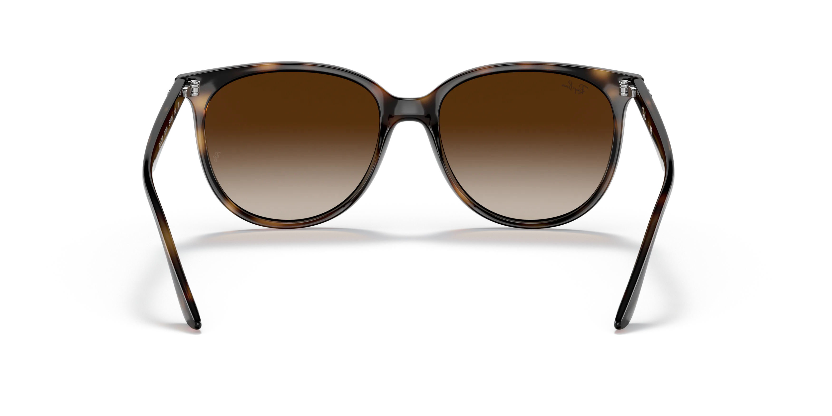 Detail02, Ray-Ban RB 4378 Sunglasses
