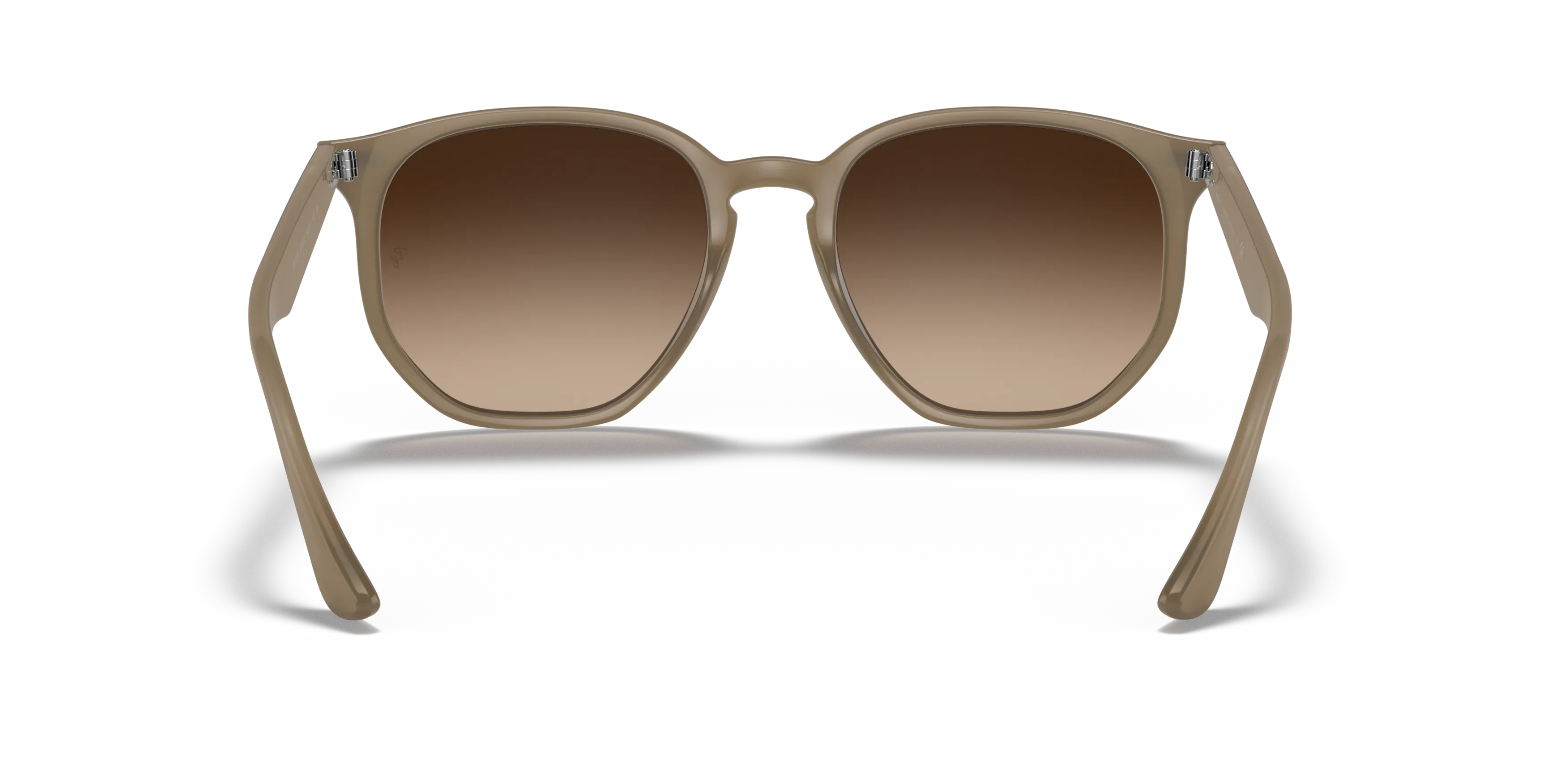 Detail02, Ray-Ban RB 4306 Sunglasses