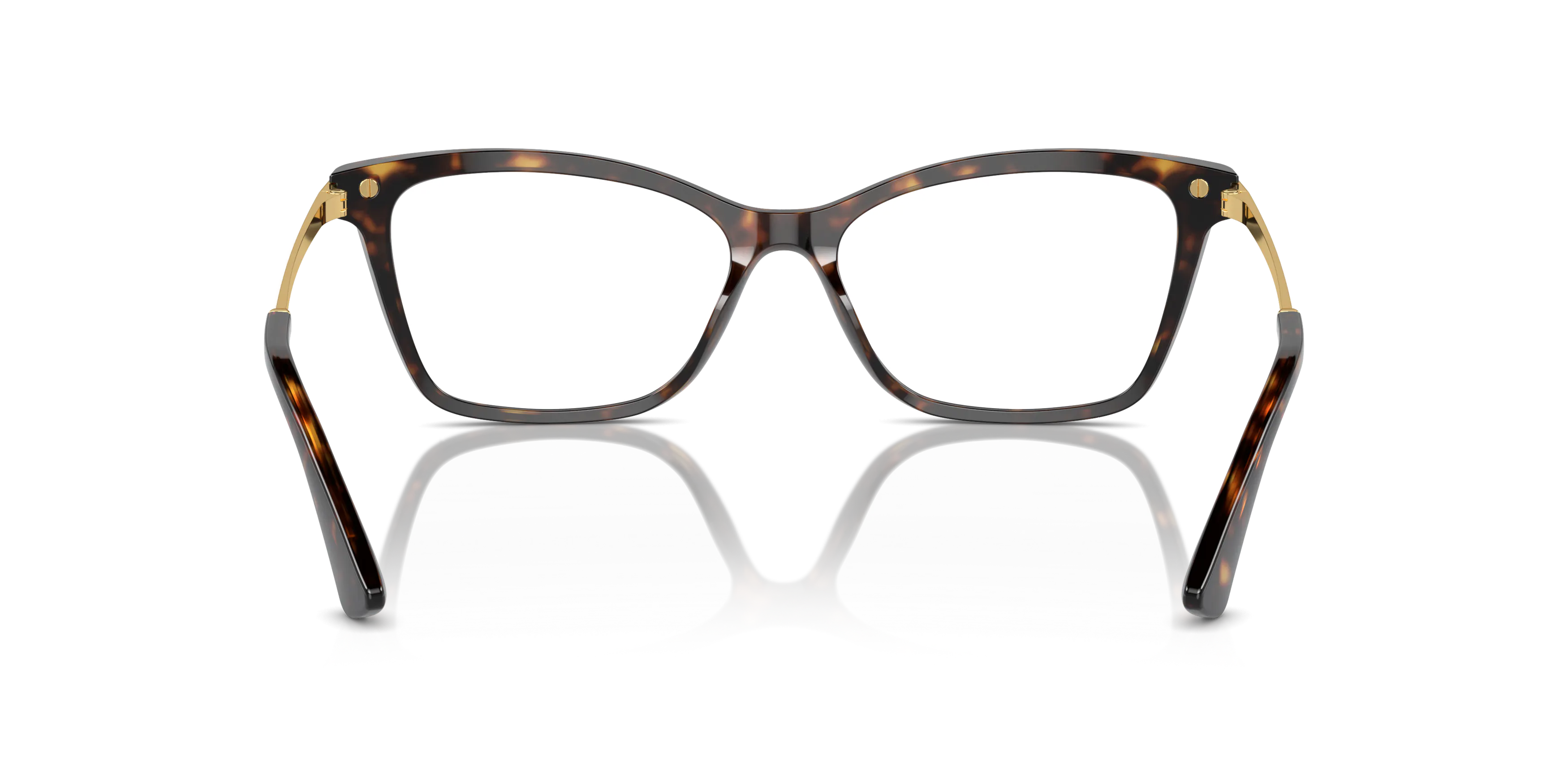 Dolce & Gabbana DG3393 502 54/16 | GrandOptical