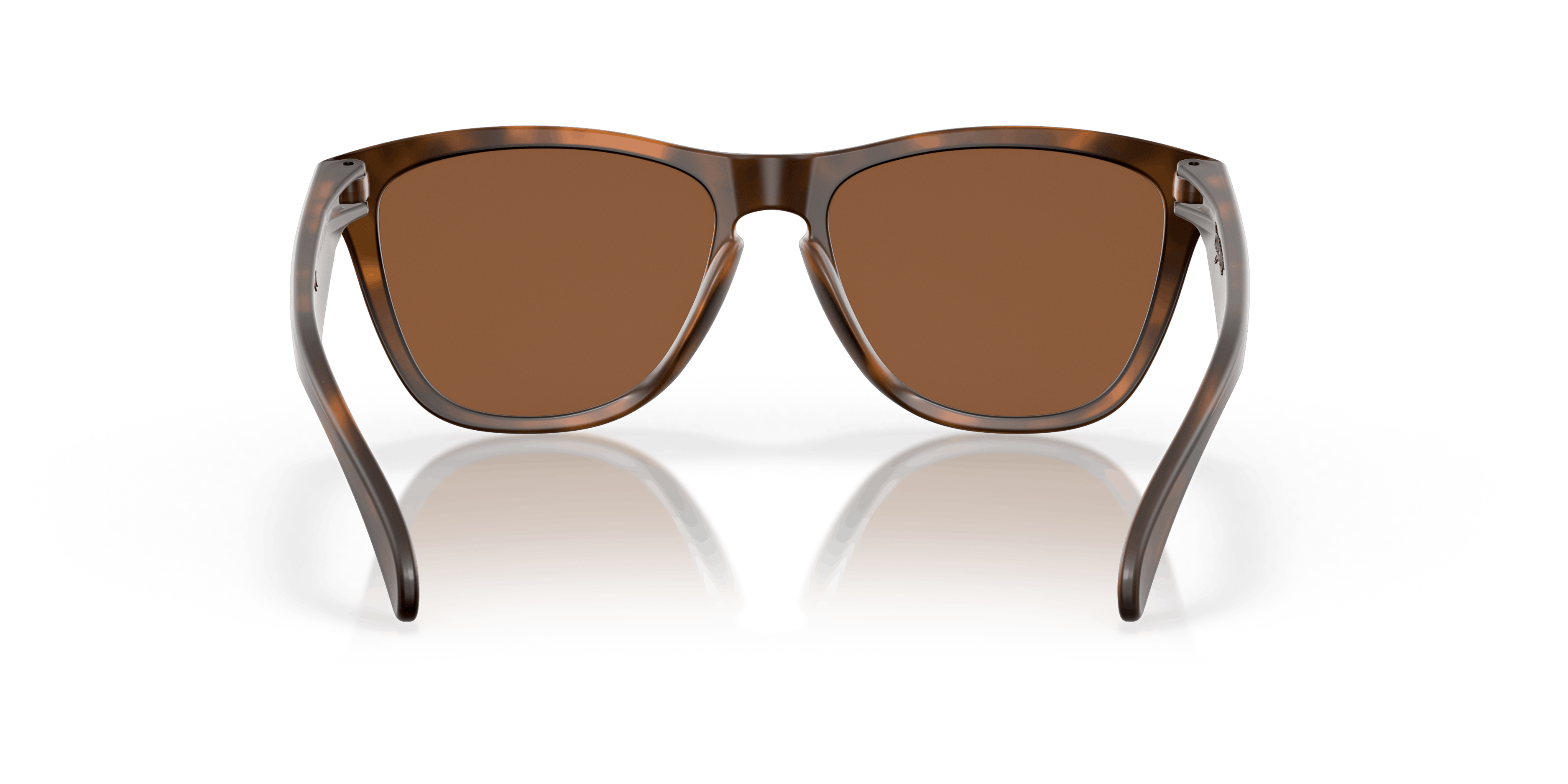 Detail02, Oakley Frogskins OO9013 9013C5