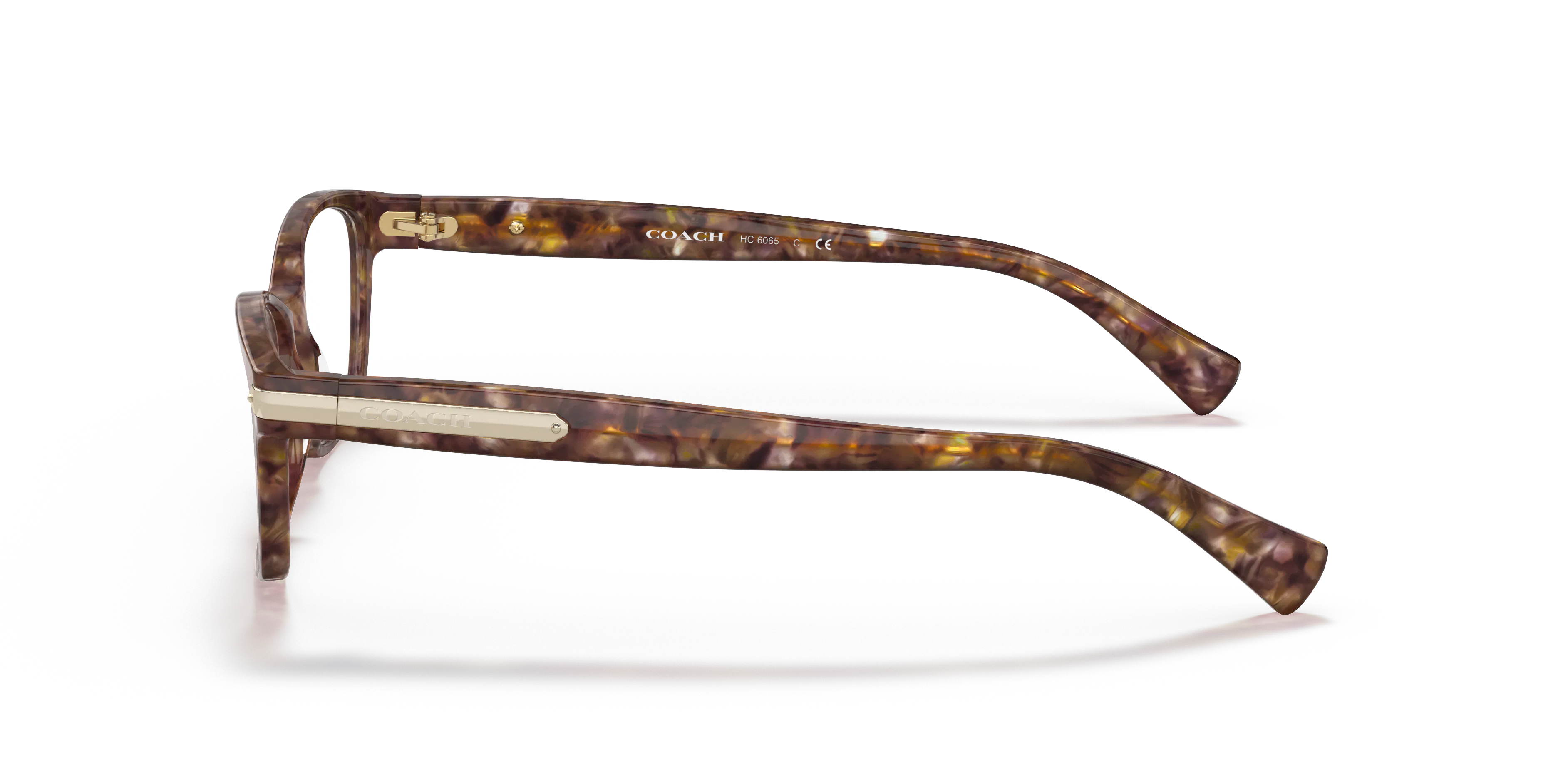 Angle_Left02, Coach HC 6065 Glasses