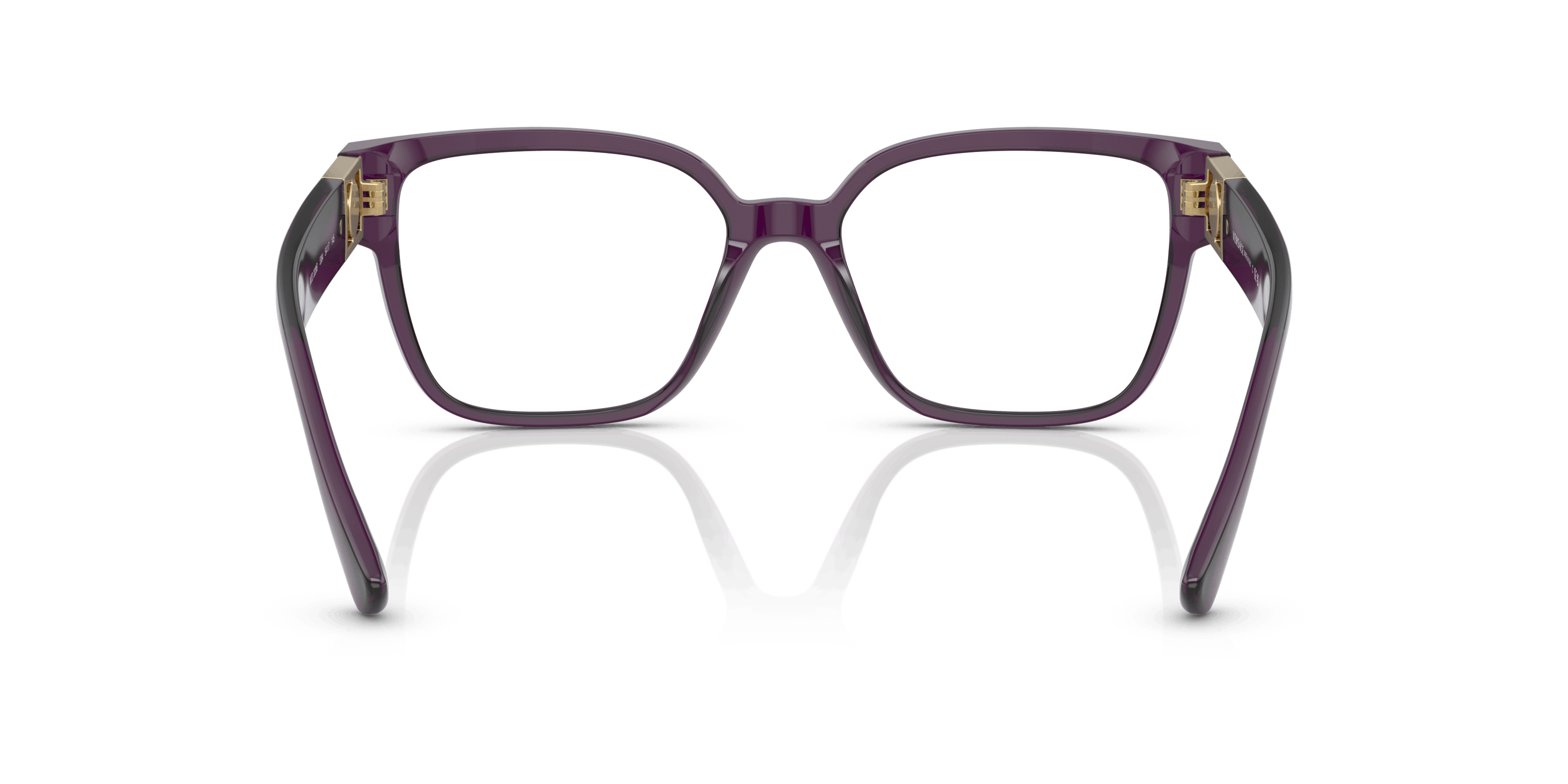 Detail02, Versace VE3329B 5384