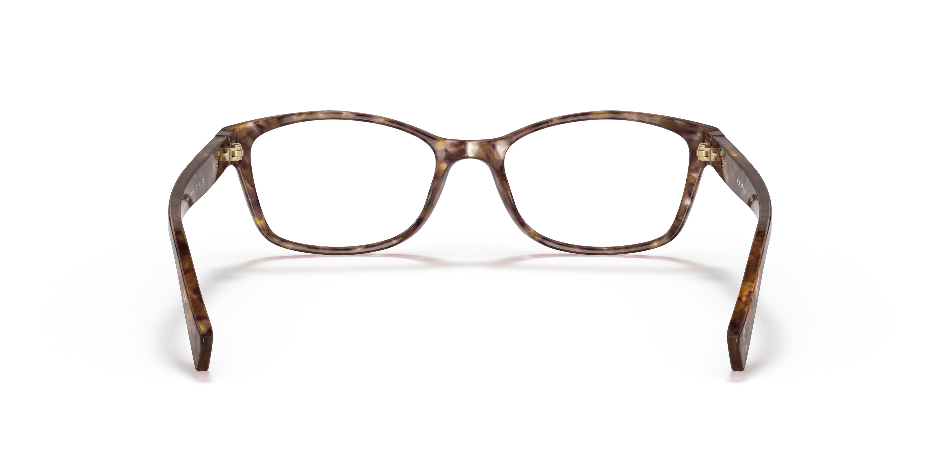 Detail02, Coach HC 6065 Glasses