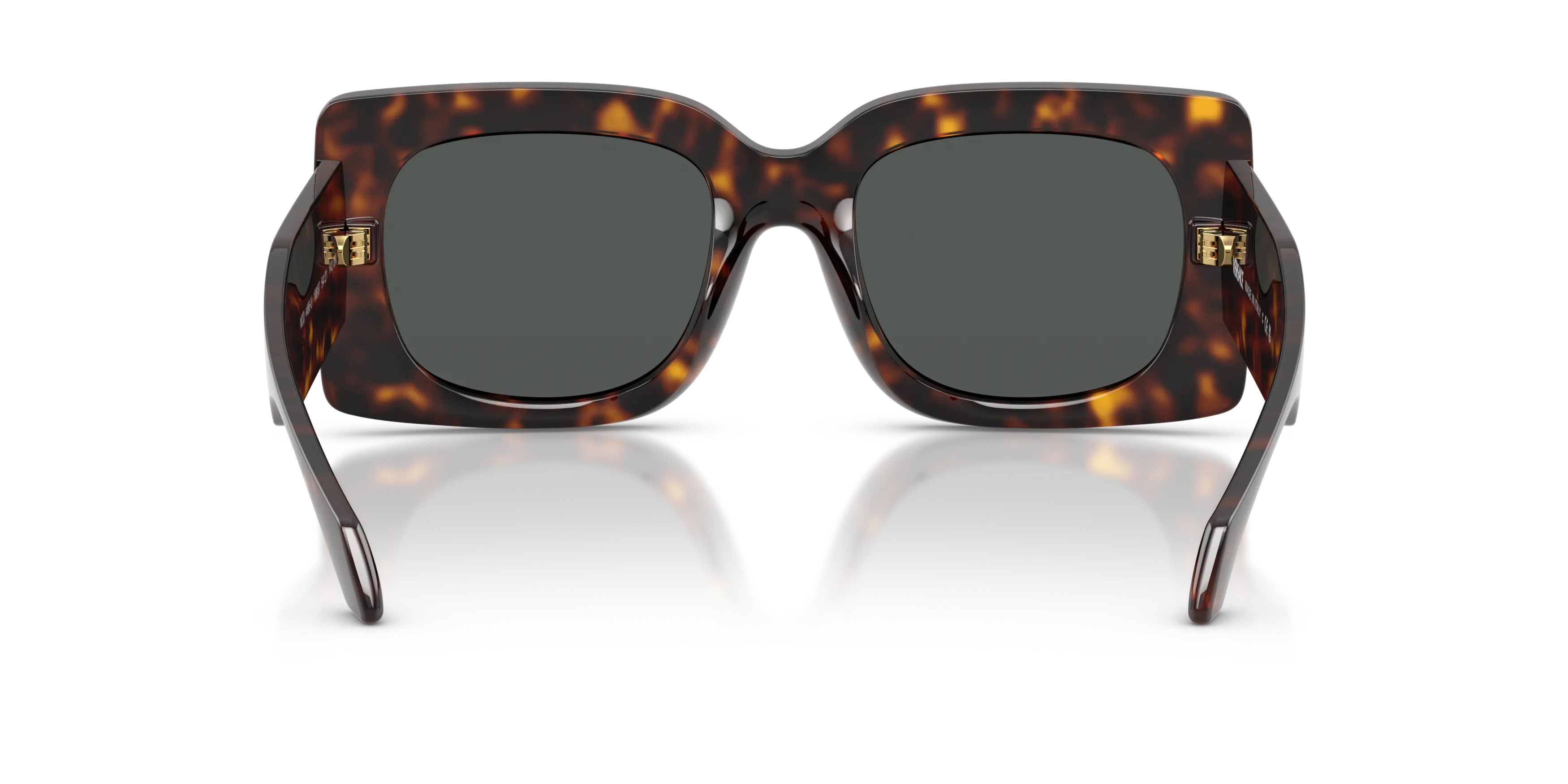 Detail02, Versace VE 4496U Sunglasses