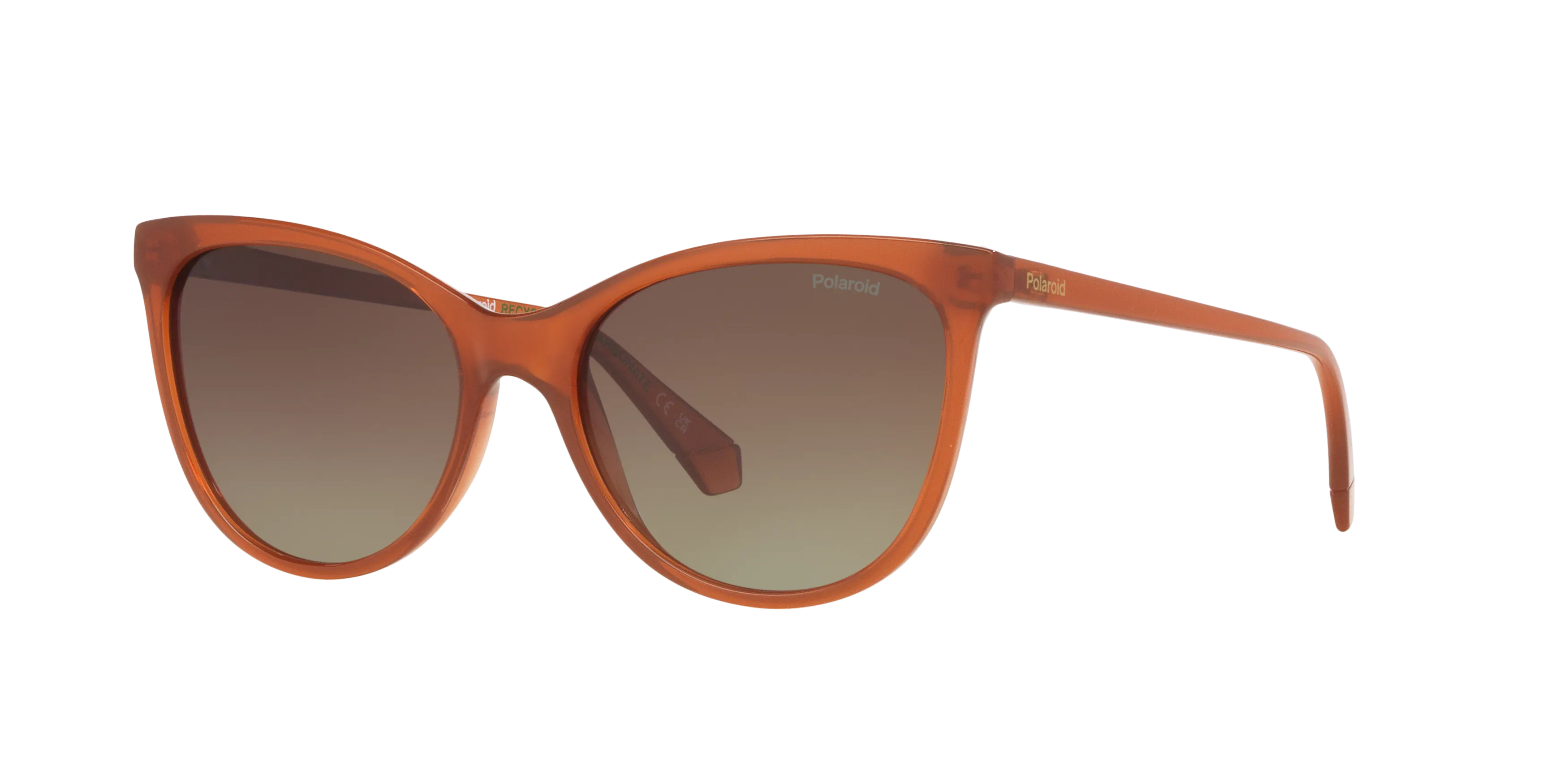 Angle_Left01, Polaroid PLD 4179/S P4000743 1800D5