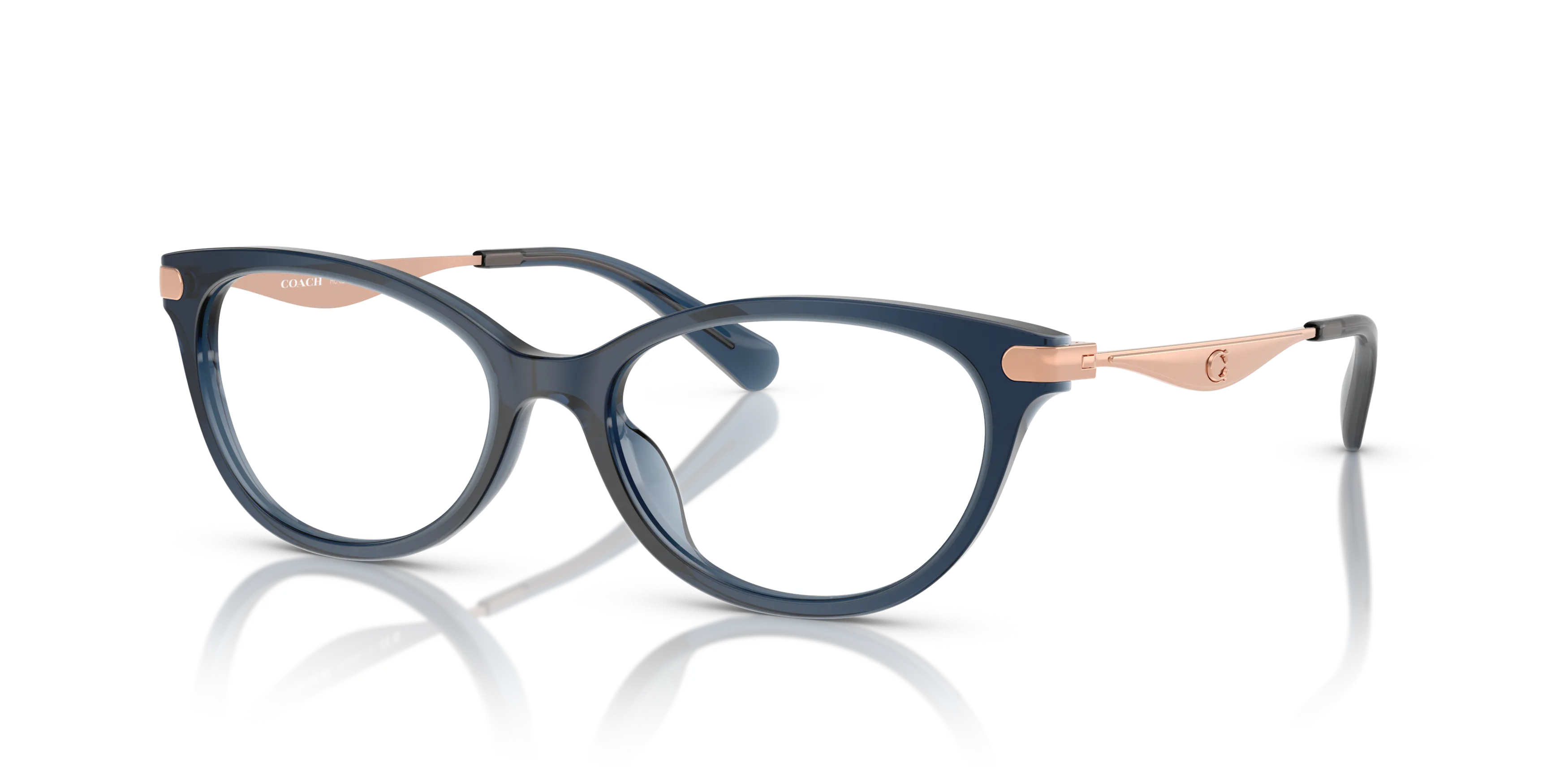 Angle_Left01, COACH HC6245U 5846