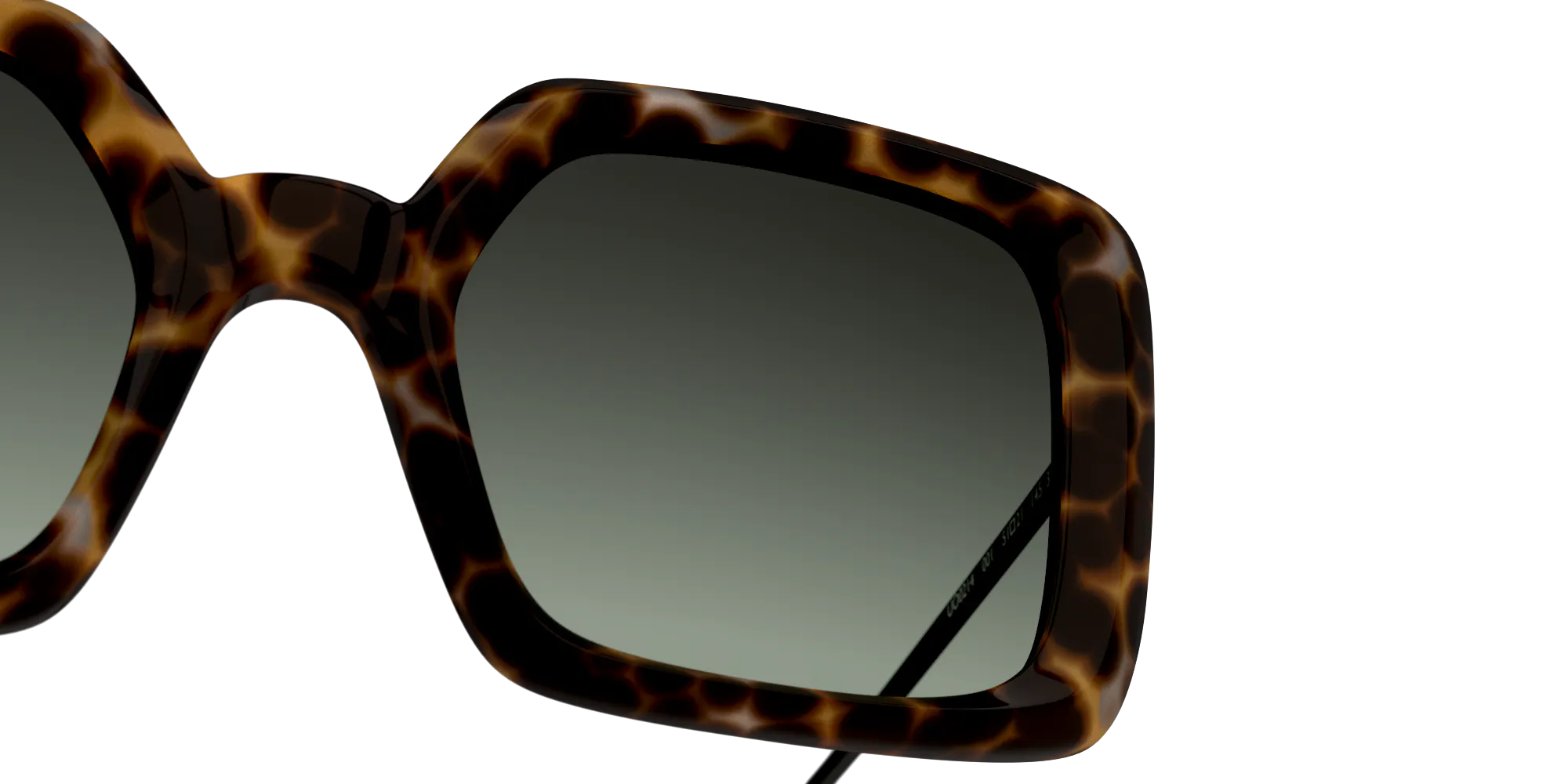 Detail01, UNOFFICIAL 0UO6166 2