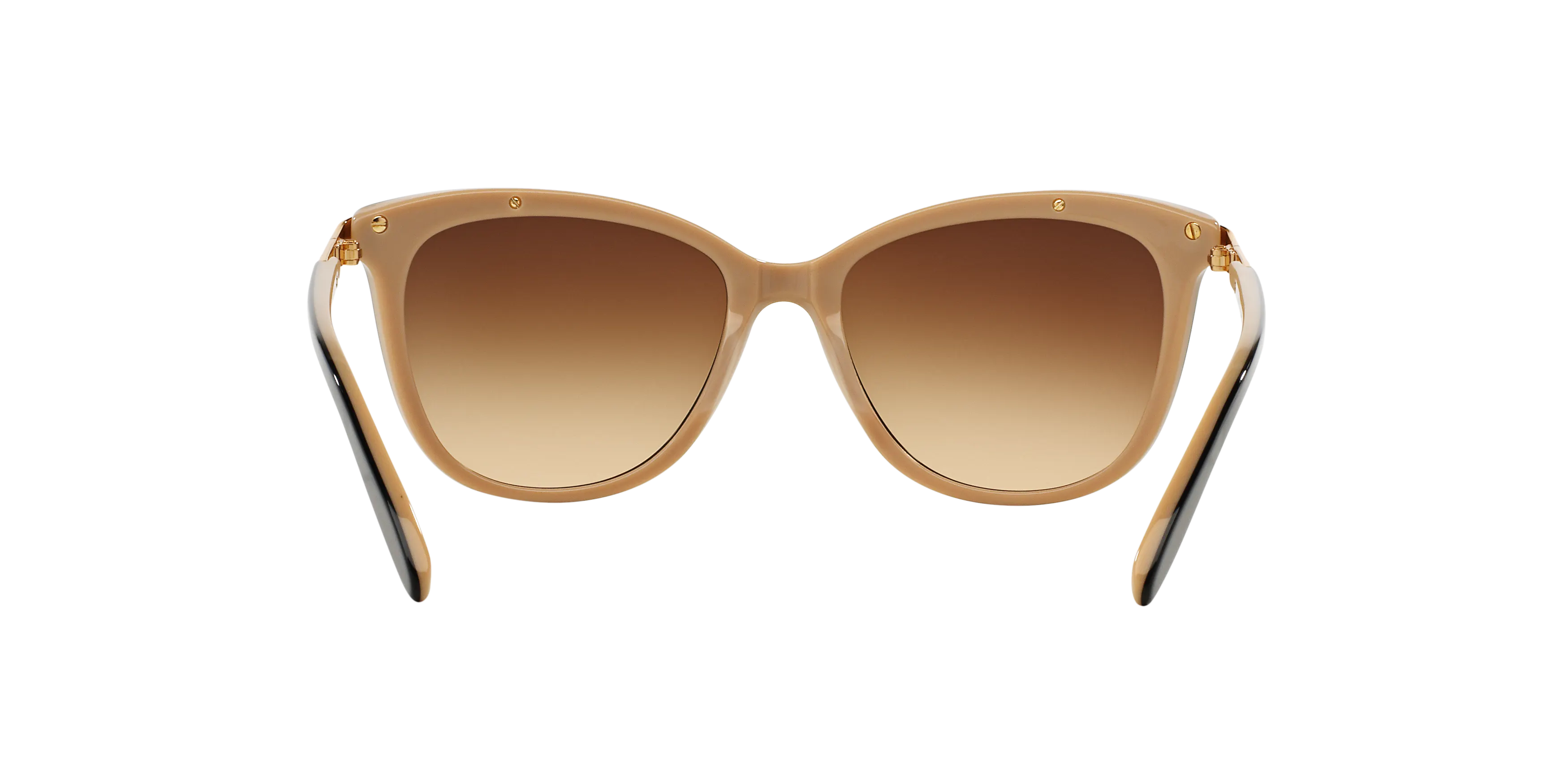 Detail02, Ralph by Ralph Lauren RA 5203 Sunglasses