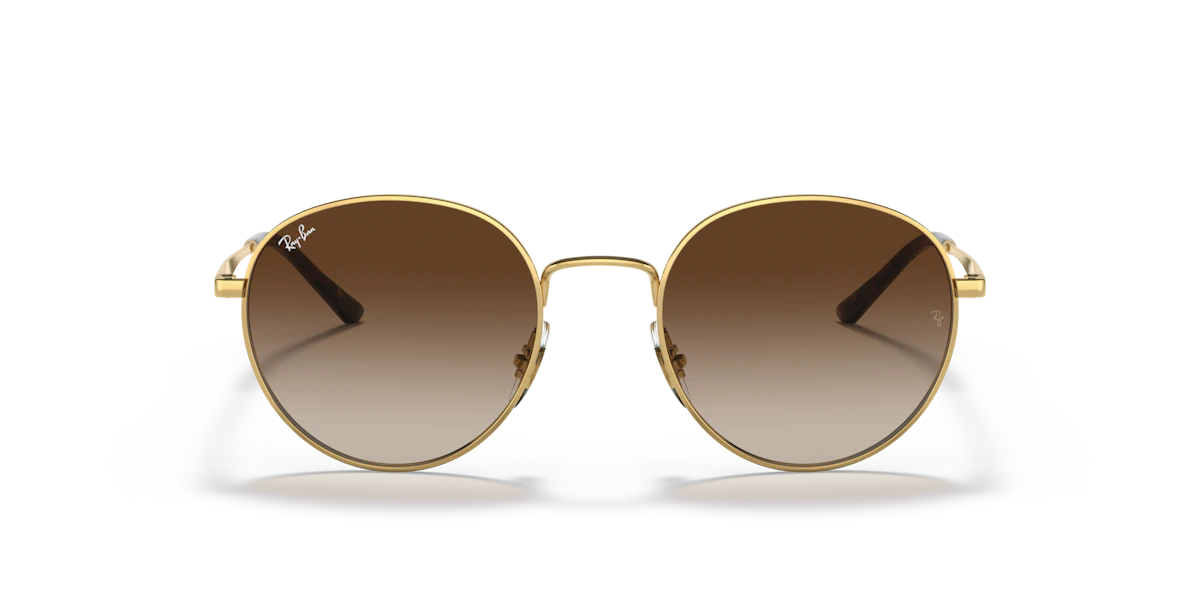 Ray-Ban 0RB3681 001/13
