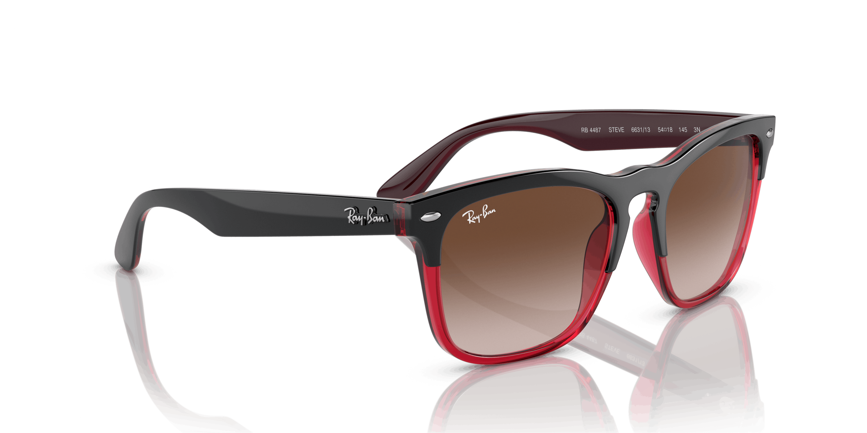 Detail05, Ray-Ban STEVE RB4487 663113