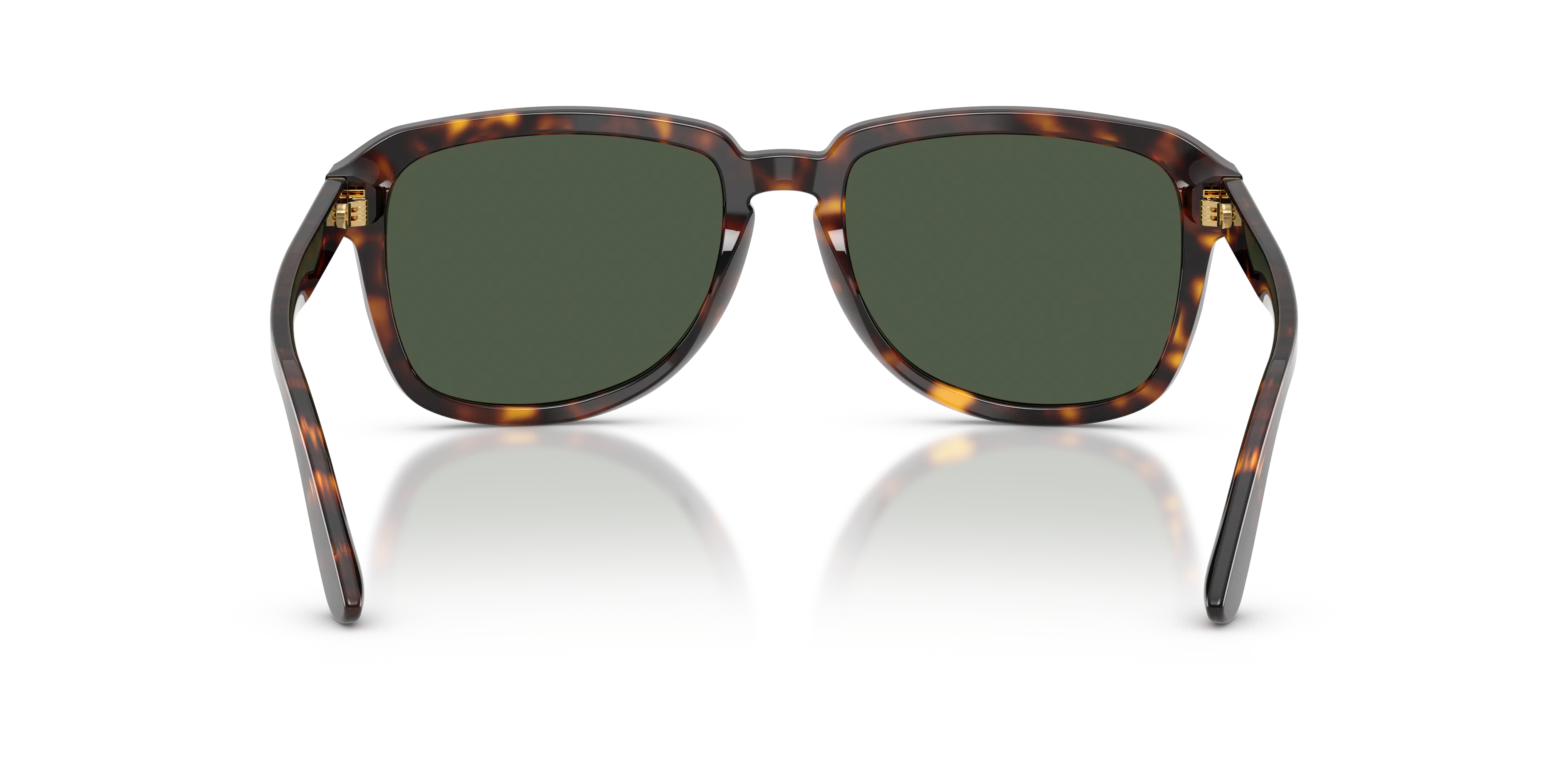 Detail02, Dolce & Gabbana DG 4566 Sunglasses