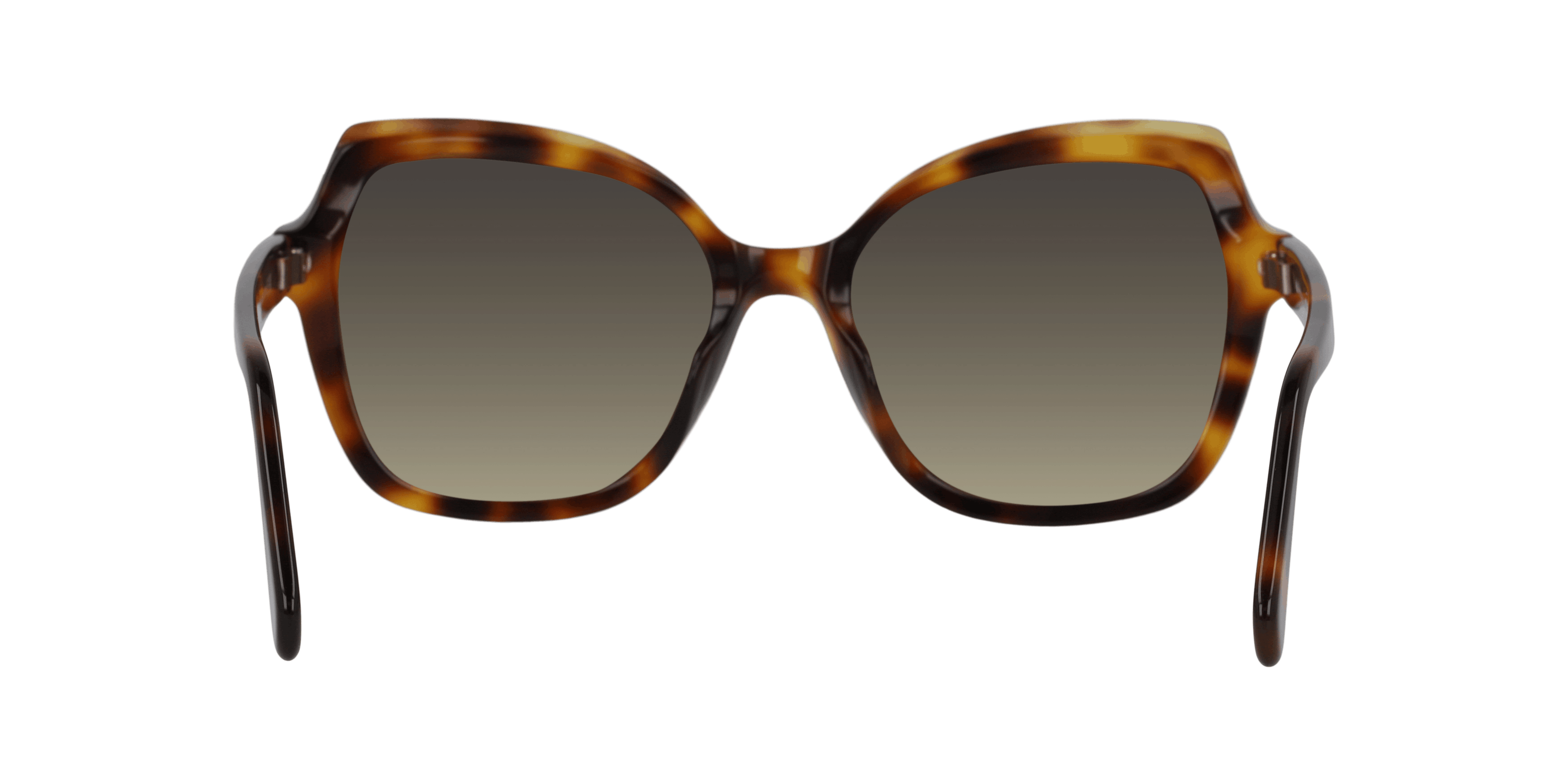 Detail02, MAUI JIM Mamane 883 Mamane 10