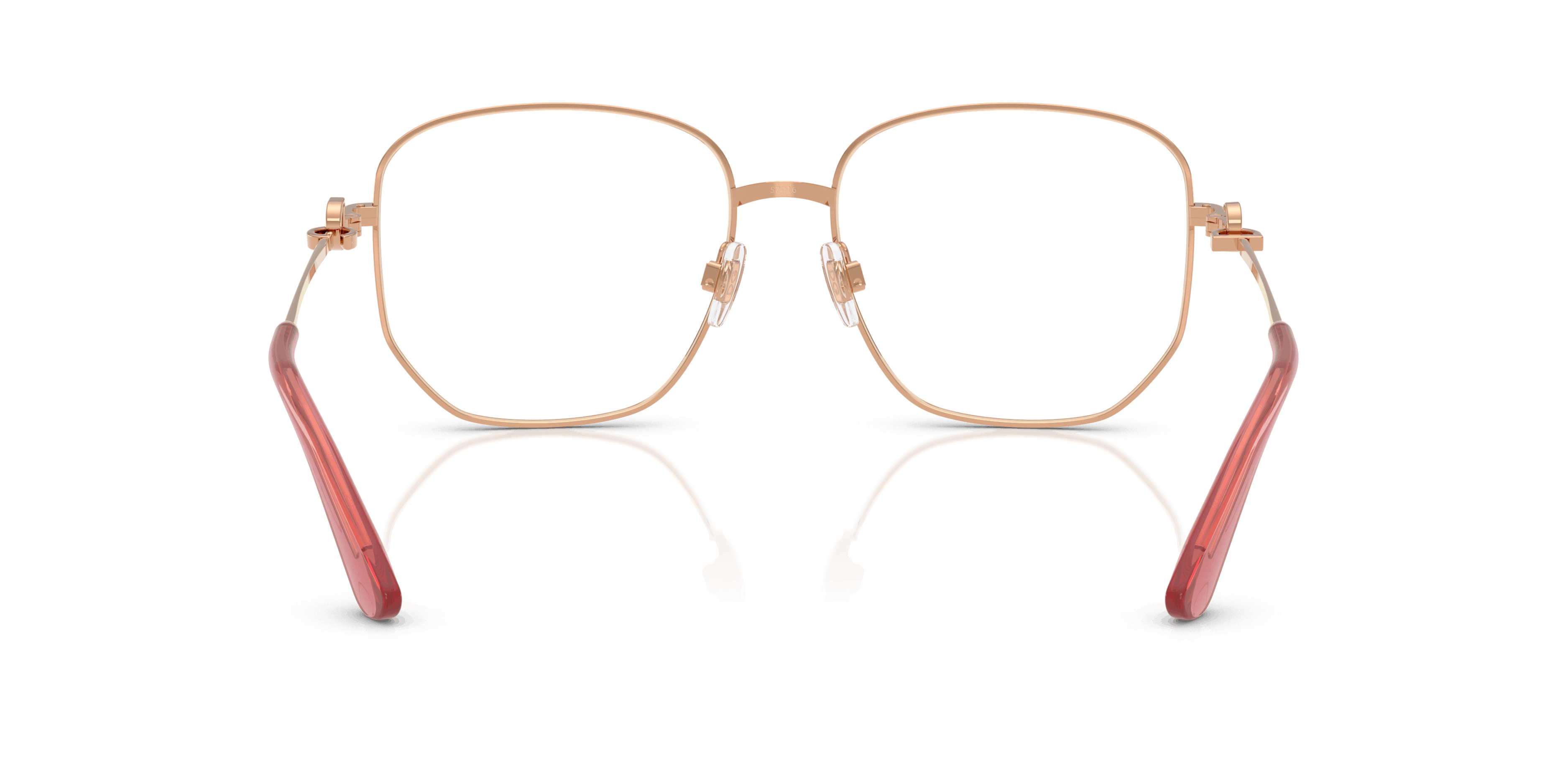 Detail02, Dolce & Gabbana DG 1356 Glasses