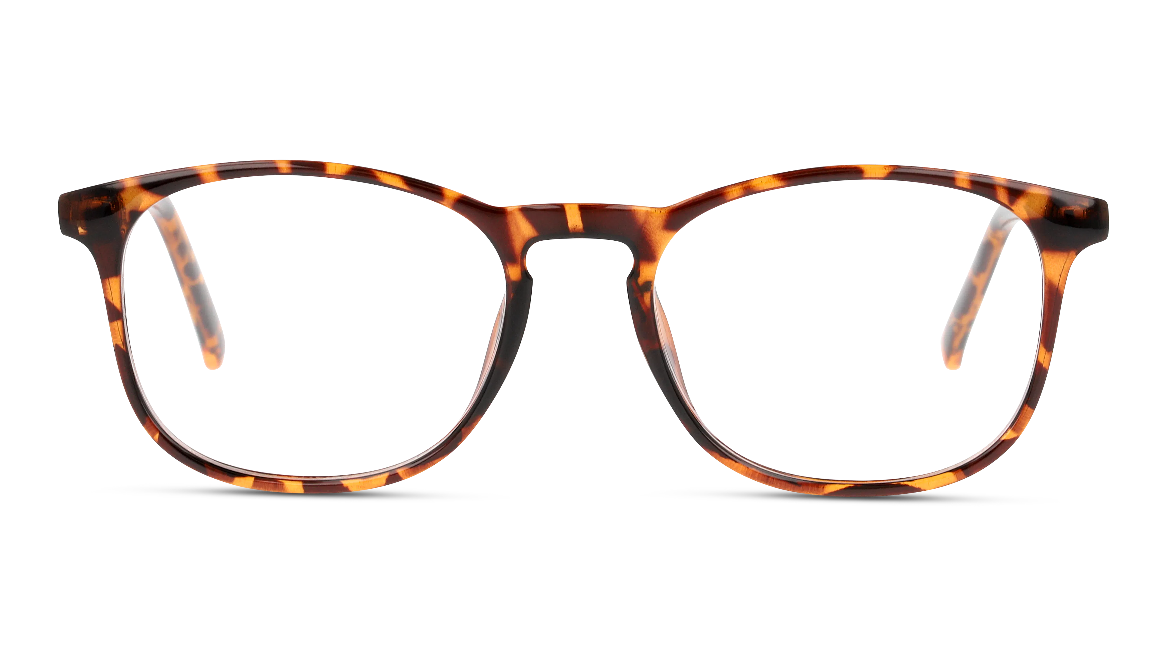 Front, Seen SNOU5003 NE3006 4402