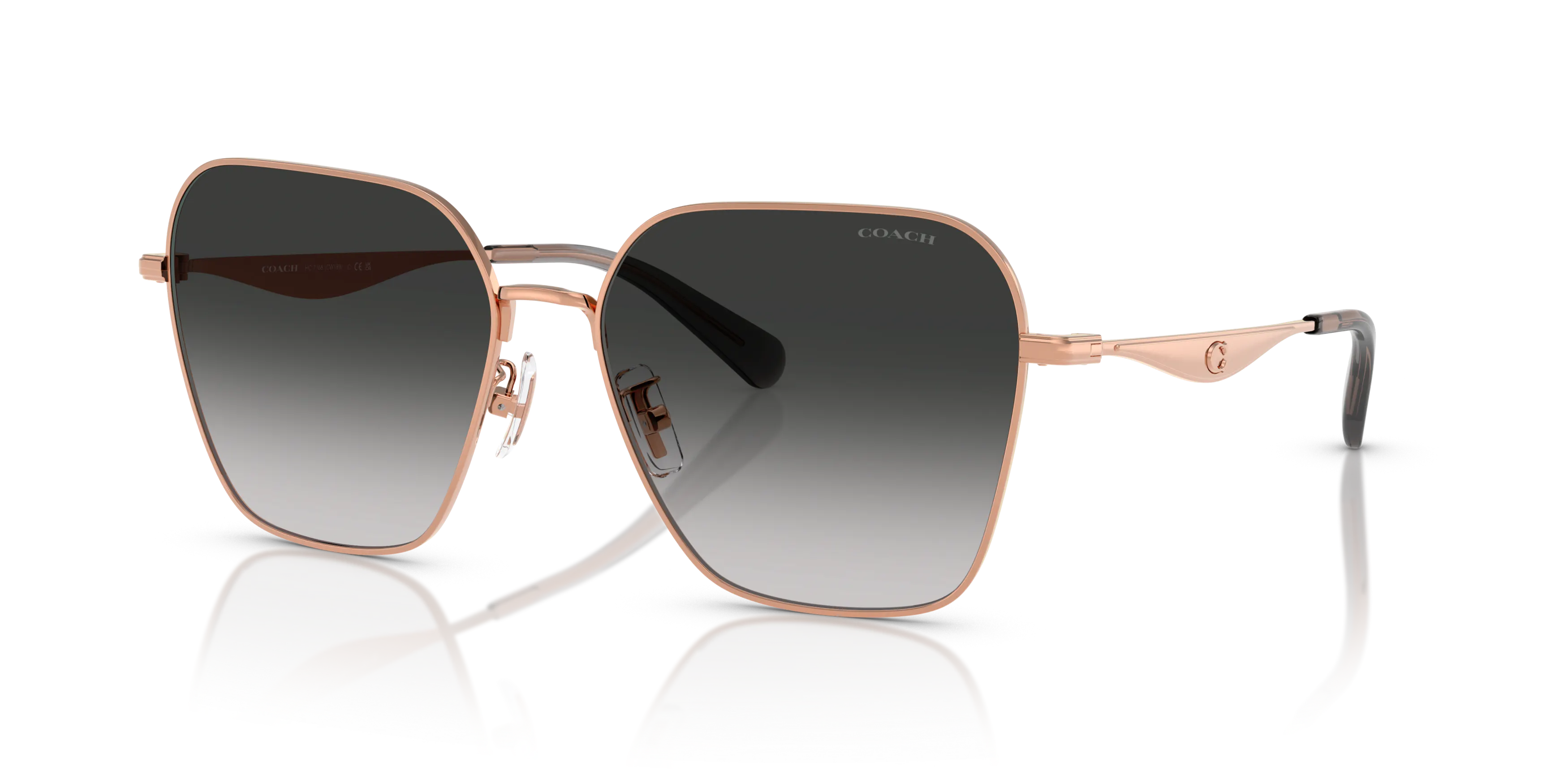 Angle_Left01, Coach HC7168 58/16