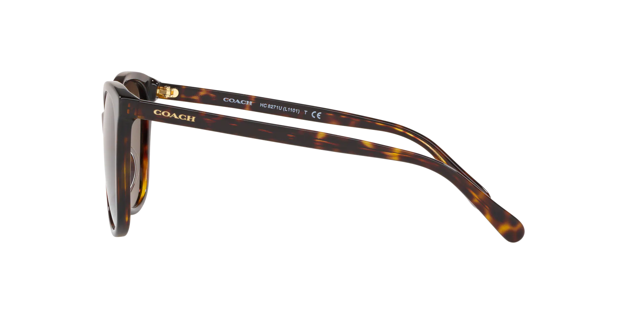 Angle_Left02, Coach HC8271U 512073