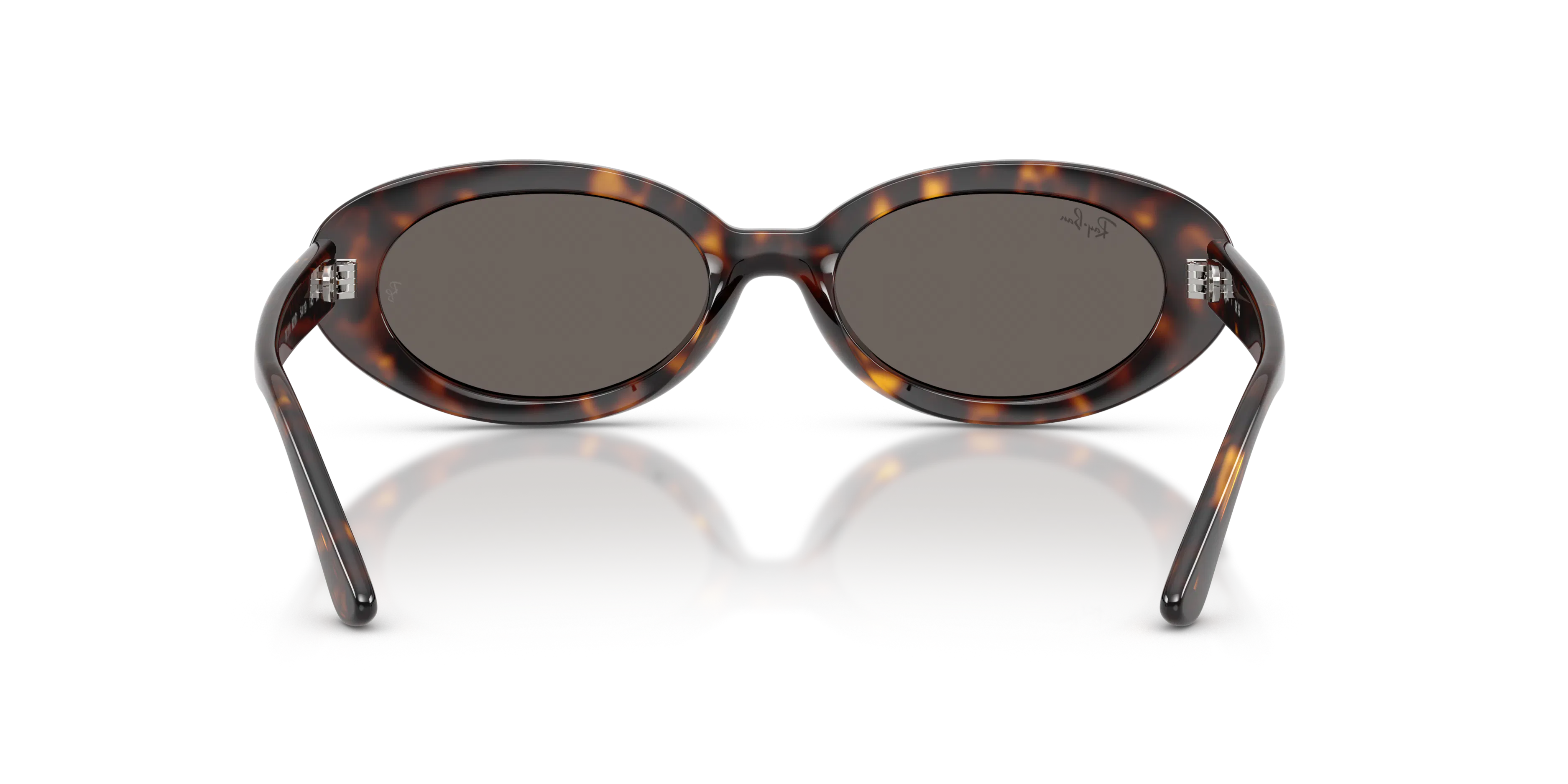 Detail02, Ray-Ban RB 2223 Sunglasses