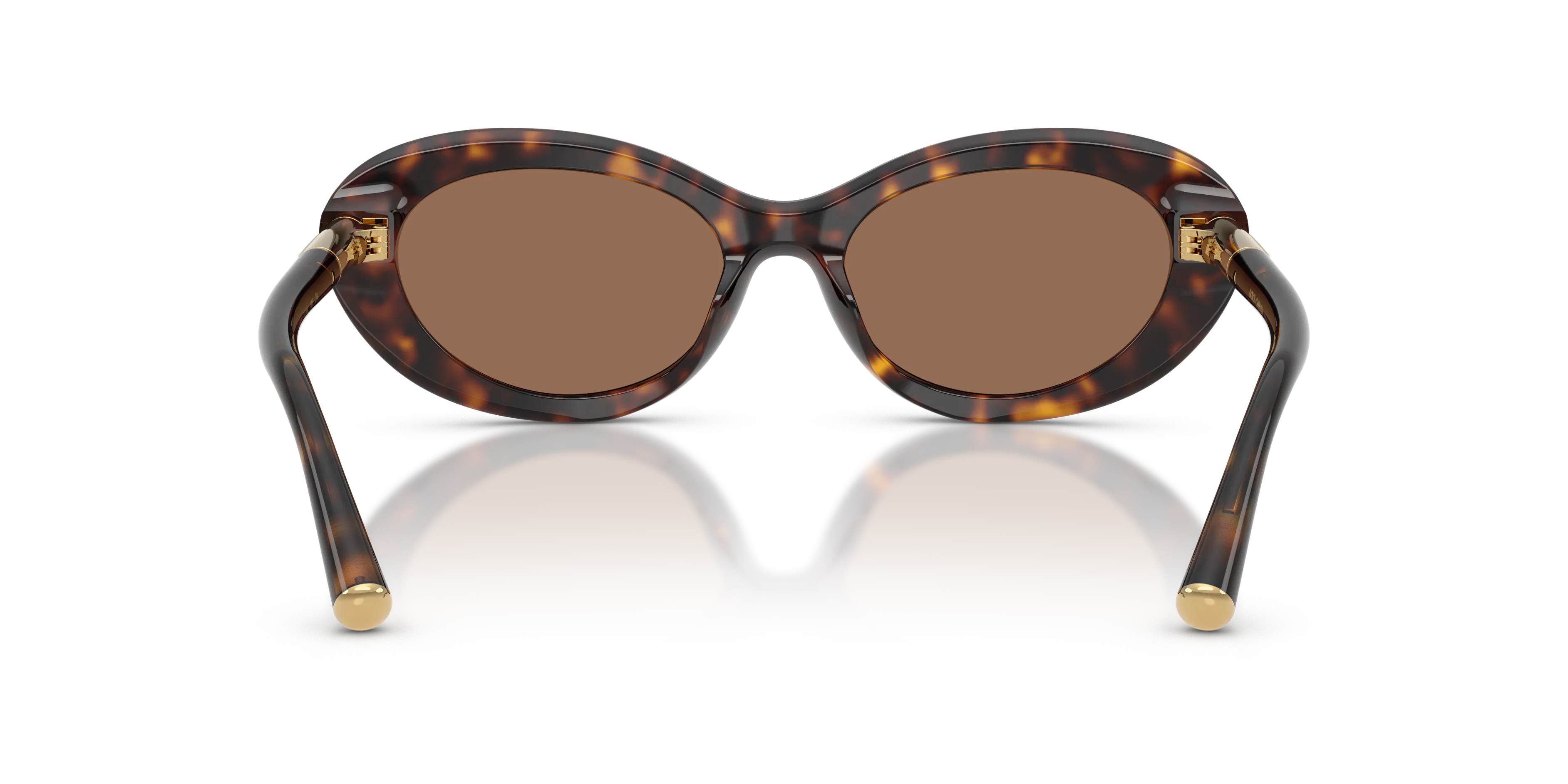 Detail02, Dolce & Gabbana DG 4519 Sunglasses