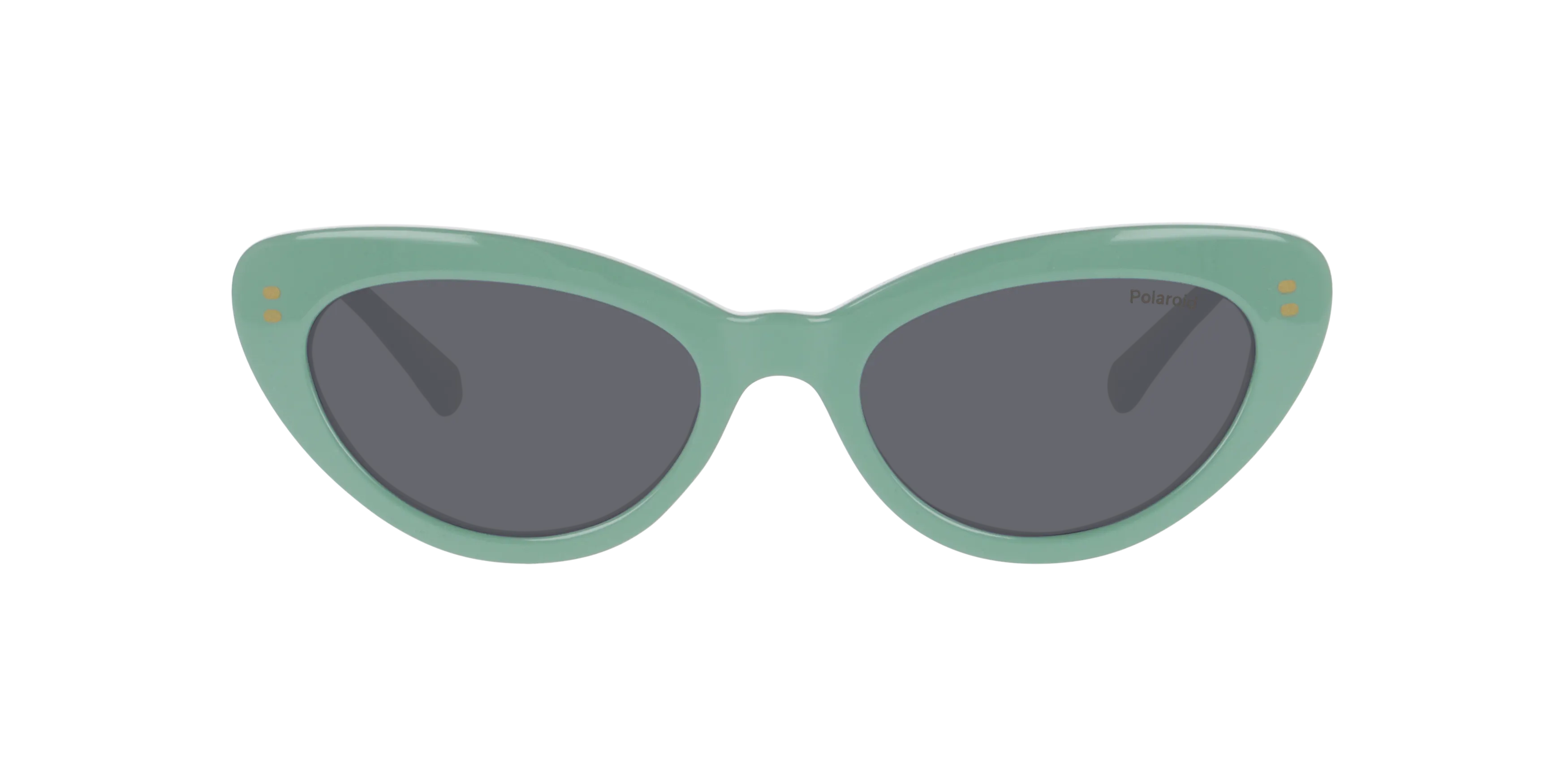 Front, Polaroid P4000794 2500M1