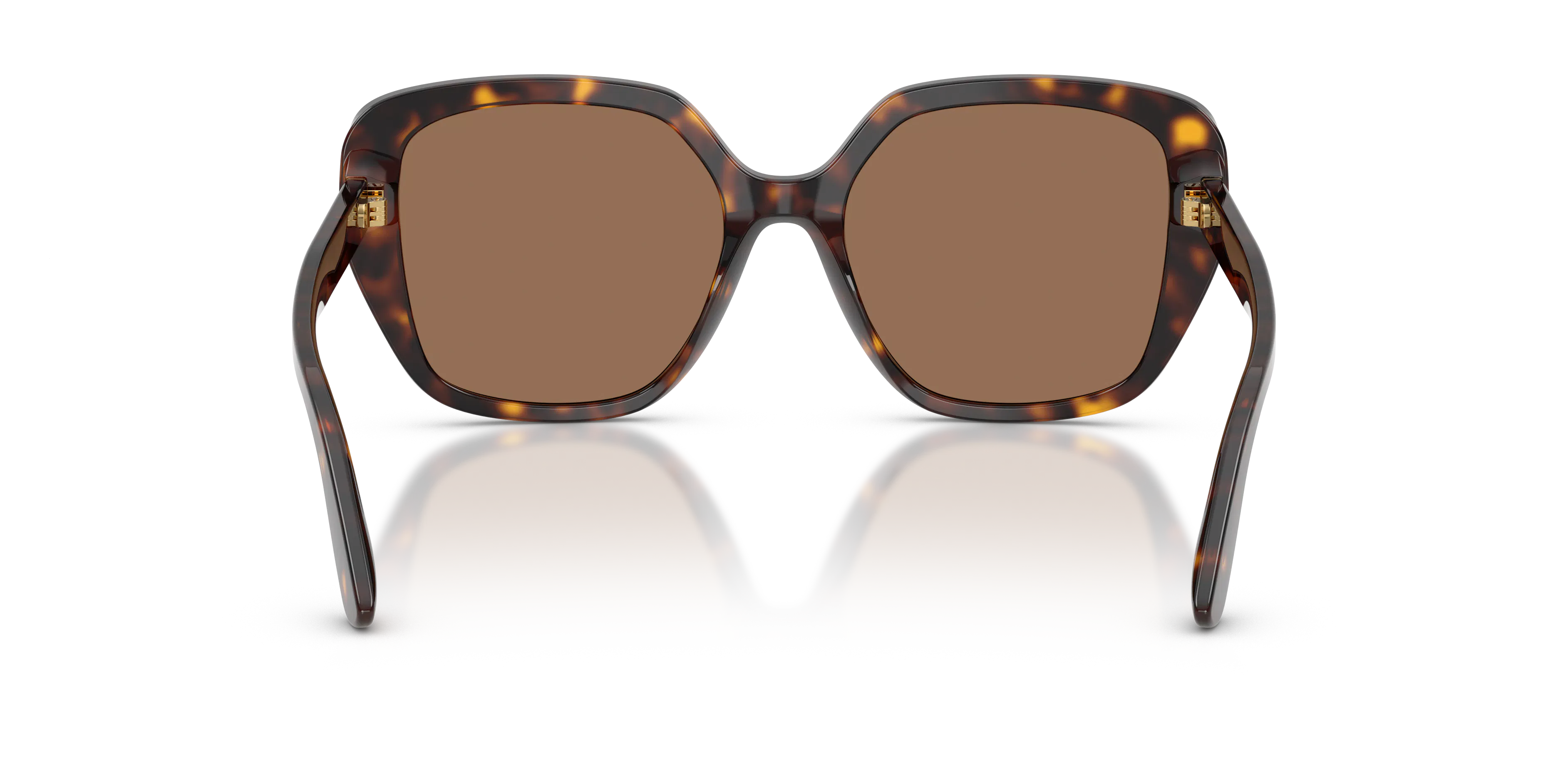 Detail02, Dolce&Gabbana DG4569 3291