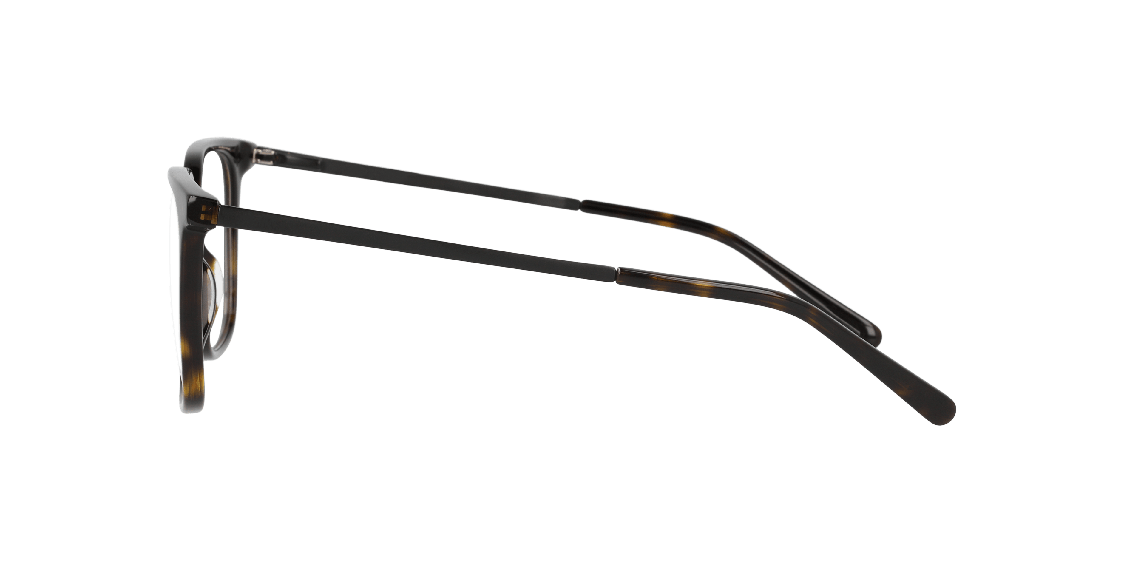 Angle_Left02, Contemporary Crush 0IY2343 C02 Brillestel