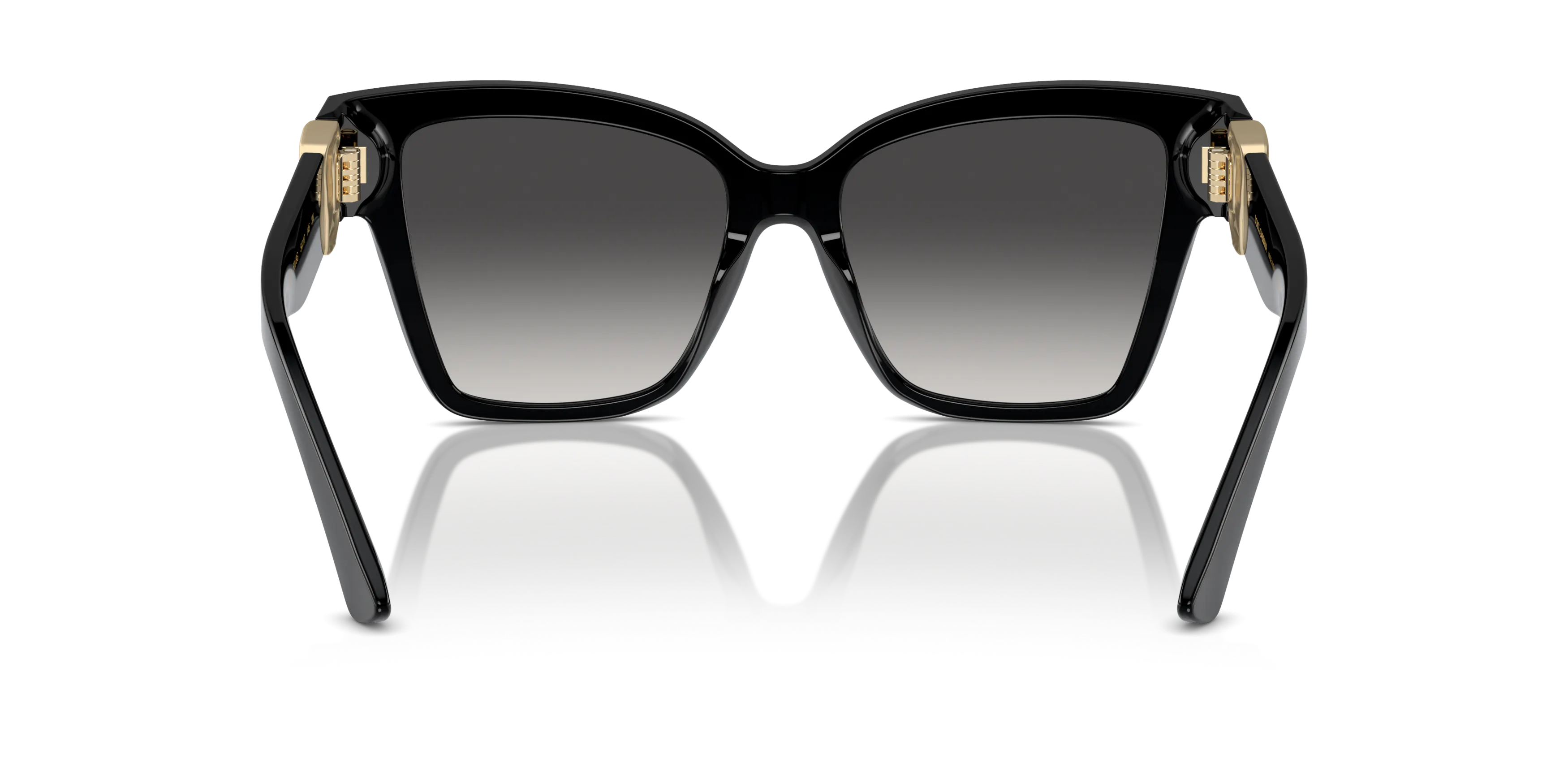 Detail02, Dolce&Gabbana DG4470 501/8G