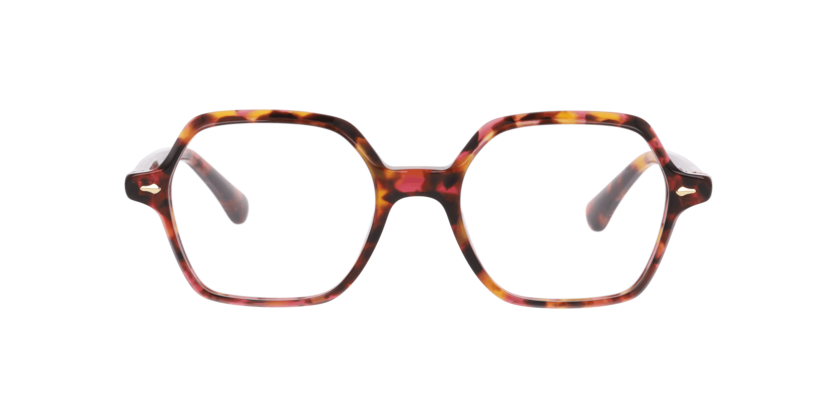 Front, PAUL & JOE GLORIA02 E612