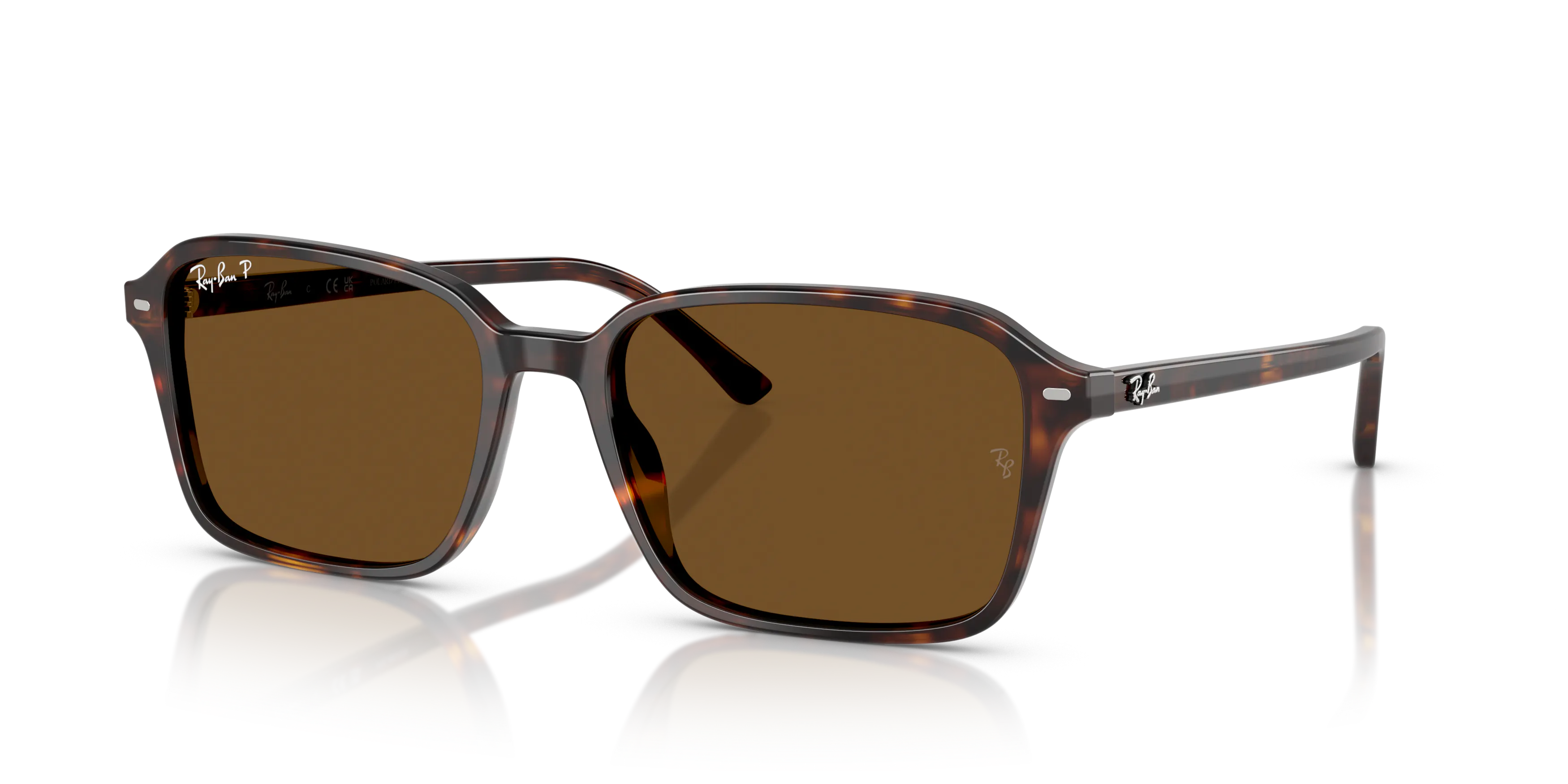 Angle_Left01, Ray-Ban RAIMOND RB2231 902/57